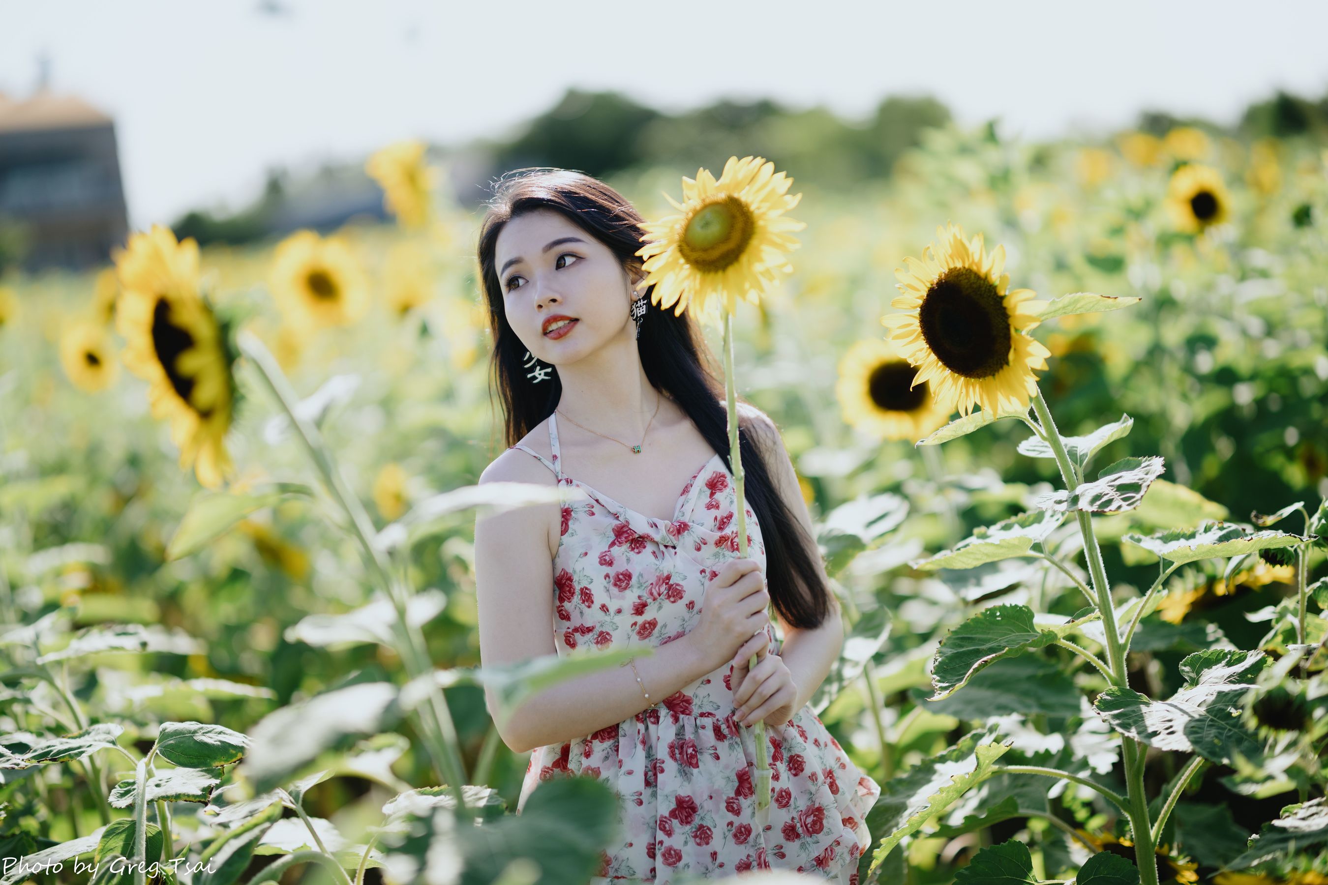 米浆 - 花花女孩/(84P)