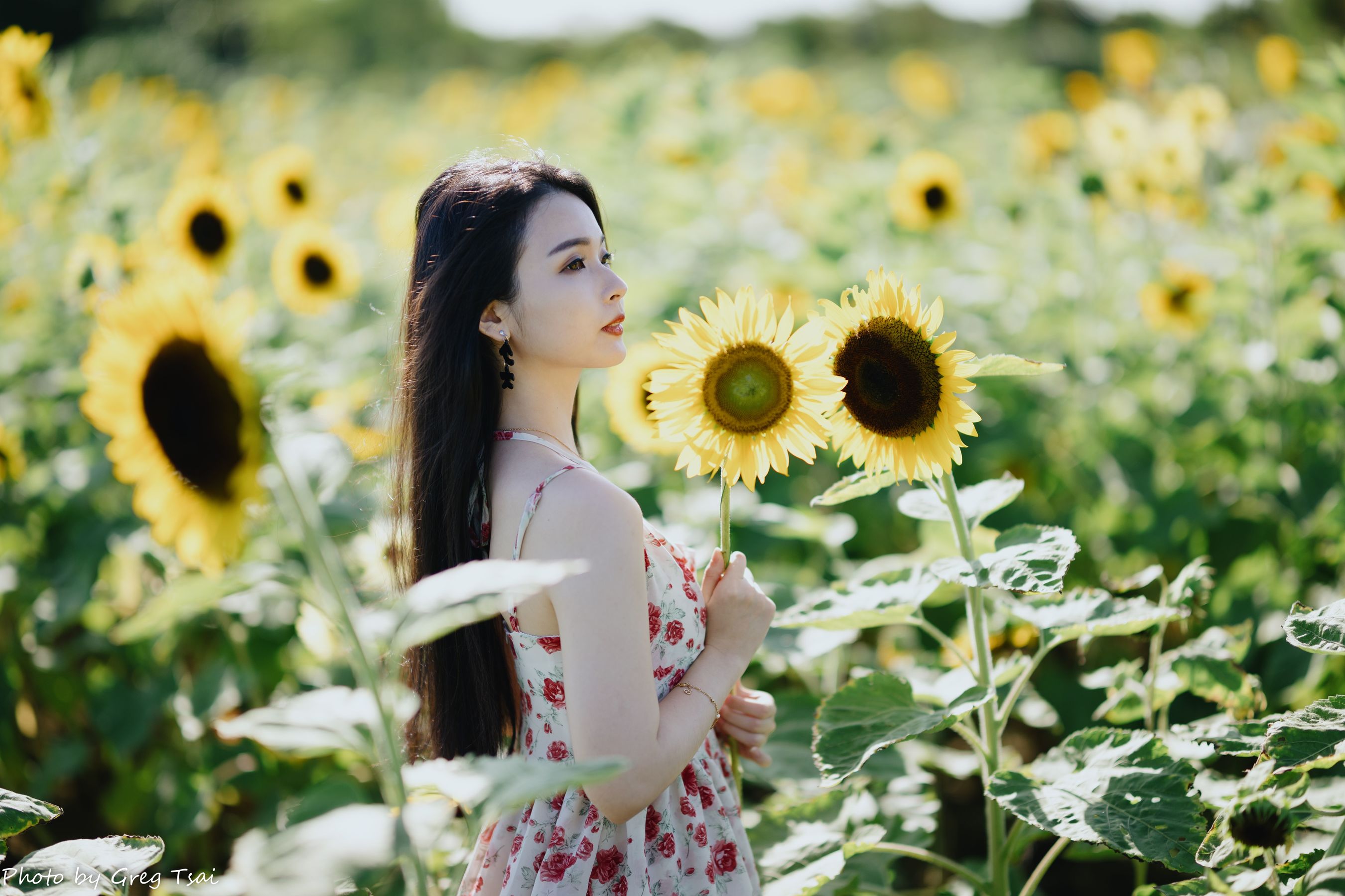 米浆 - 花花女孩/(84P)