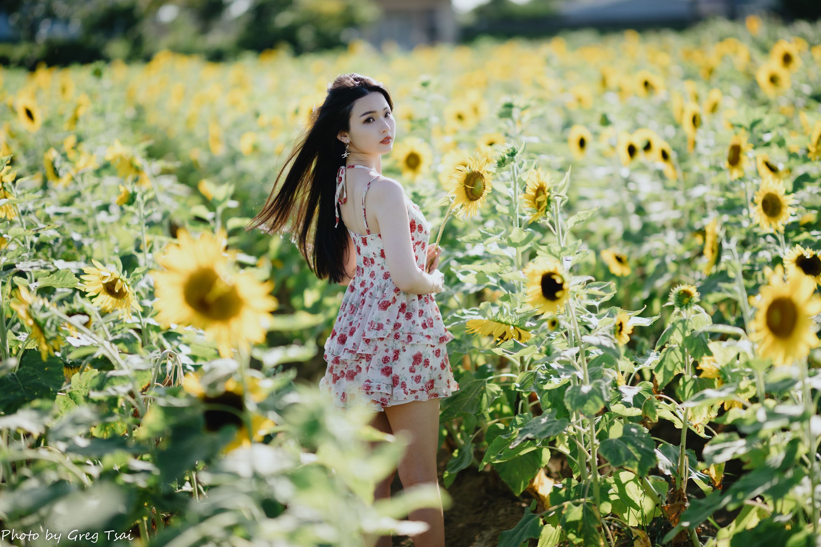 米浆 - 花花女孩/(84P)