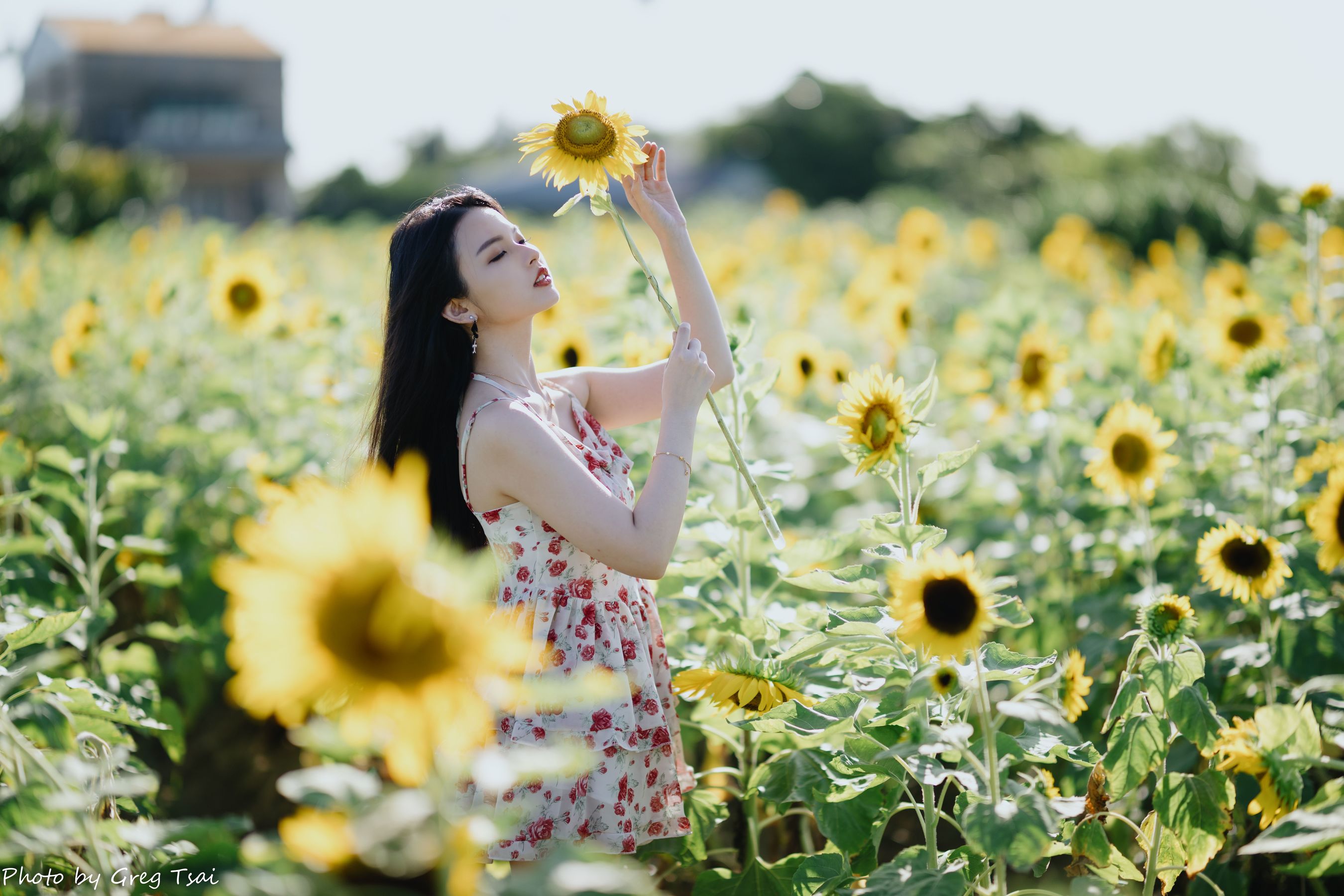 米浆 - 花花女孩/(84P)