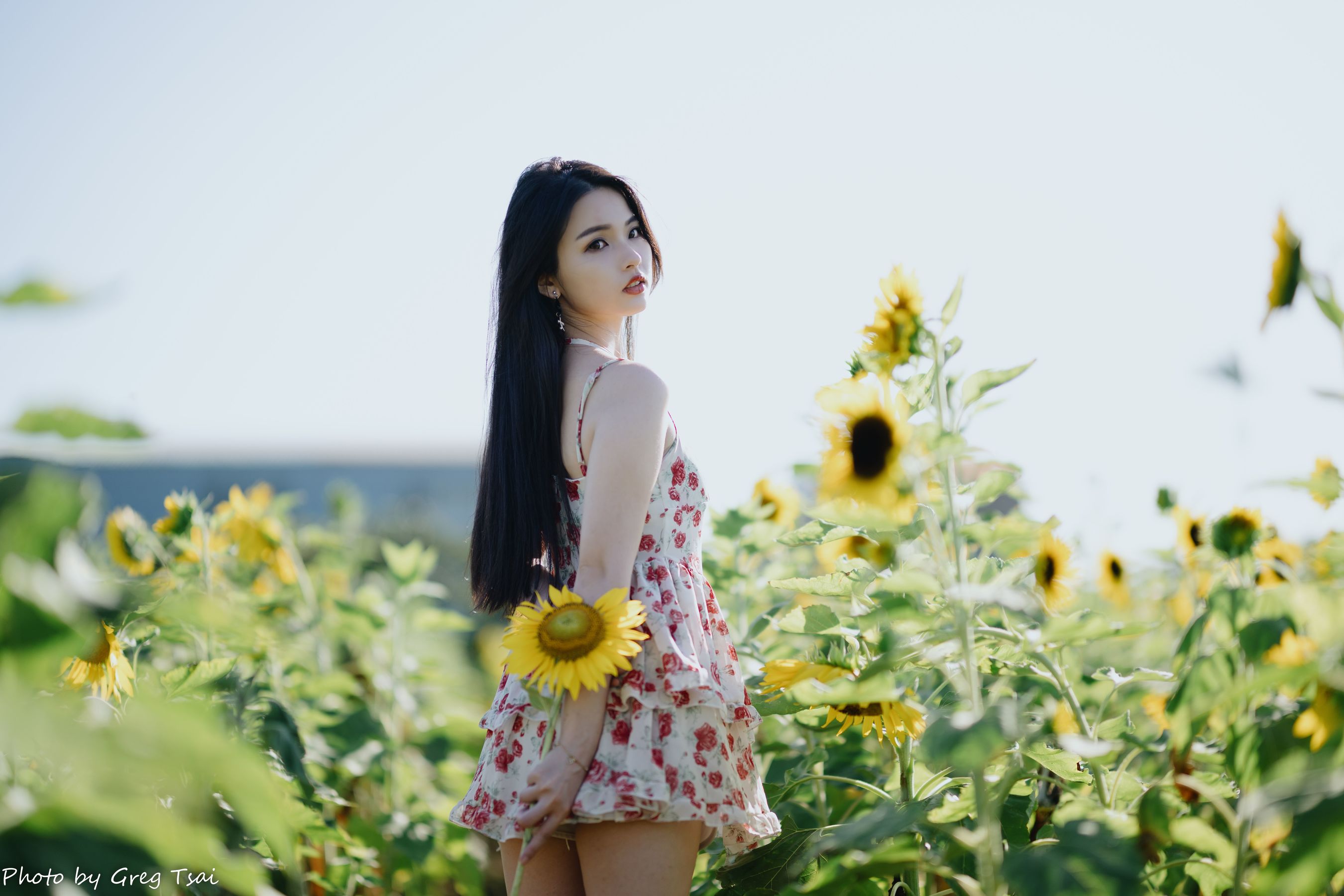 米浆 - 花花女孩/(84P)