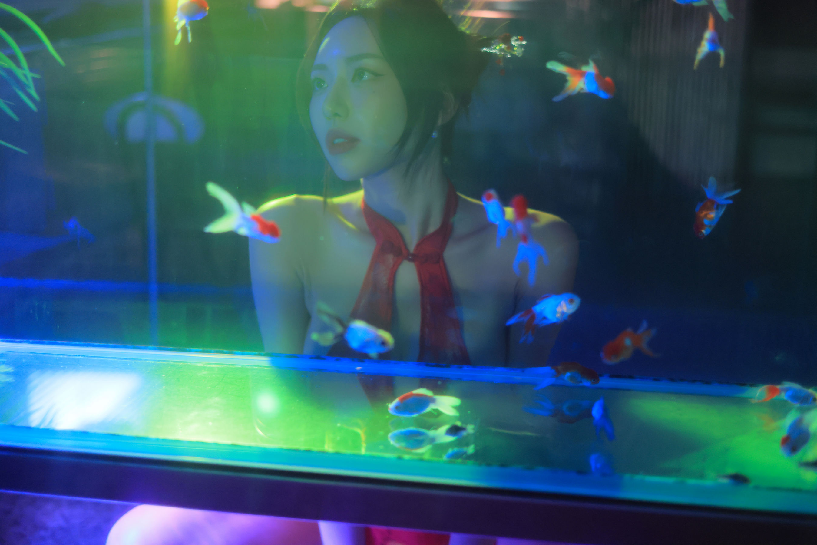 Dongeuran - Hong Kong/(154P)