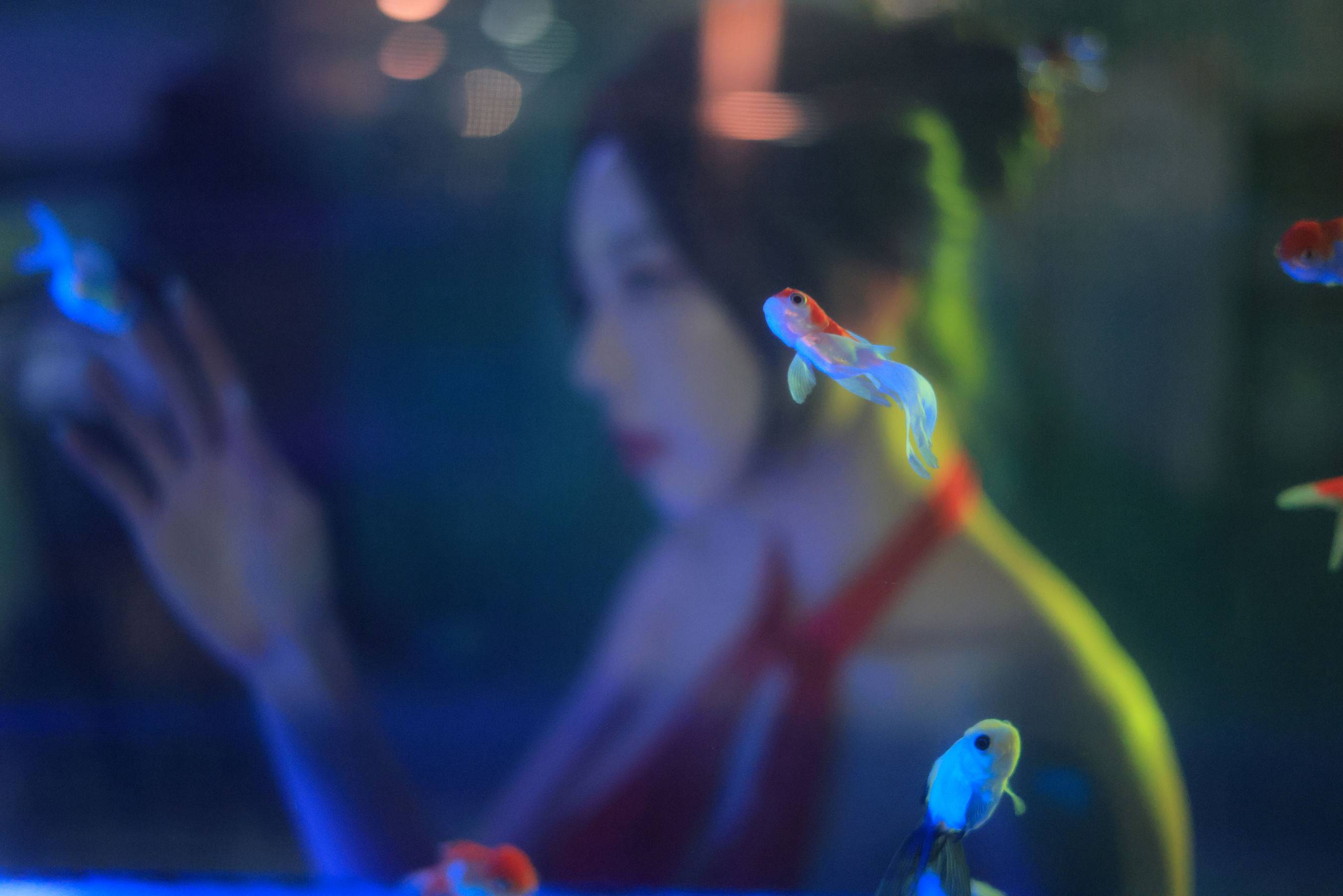 Dongeuran - Hong Kong/(154P)