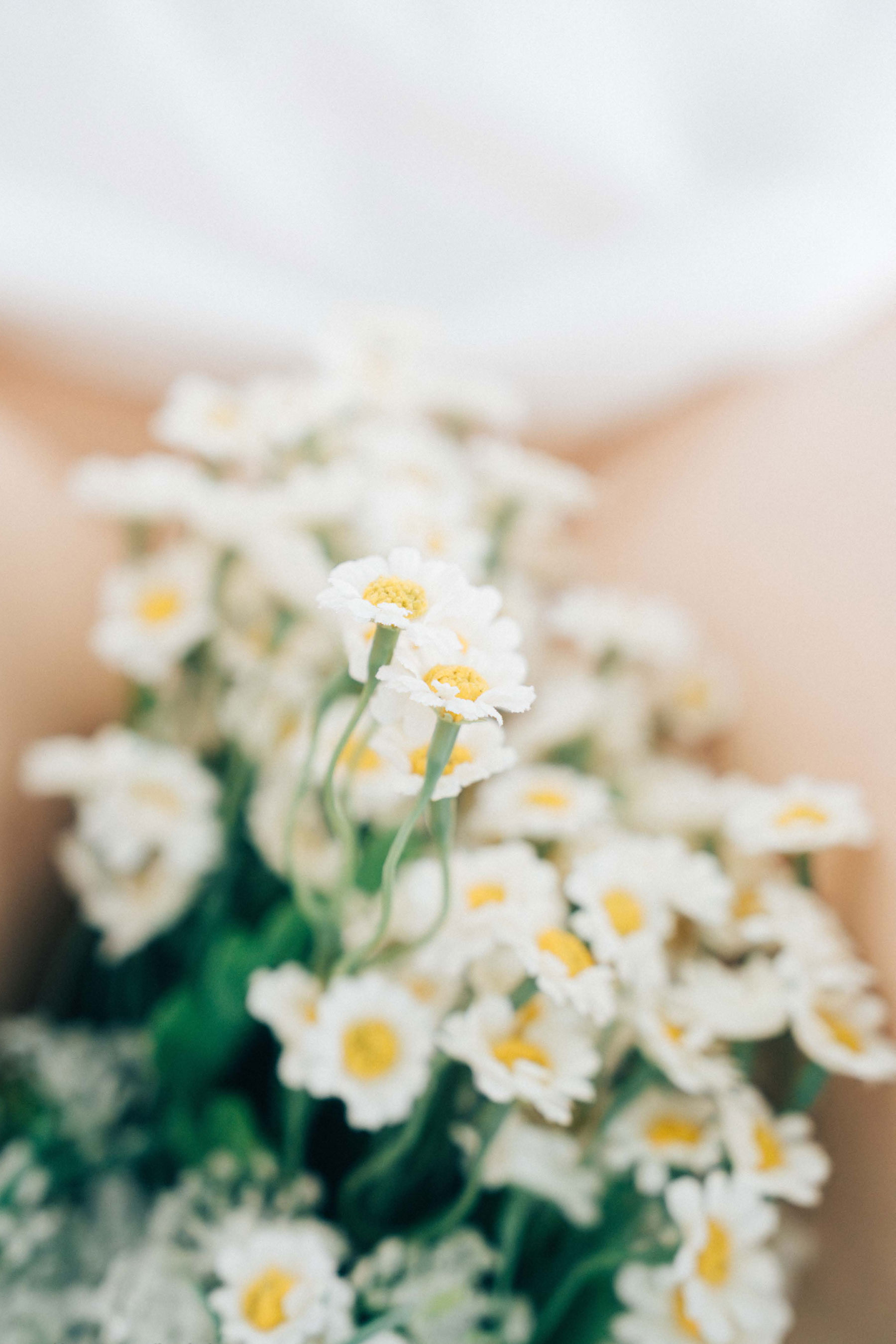 Haivia RAMI - Fair skin/(33P)