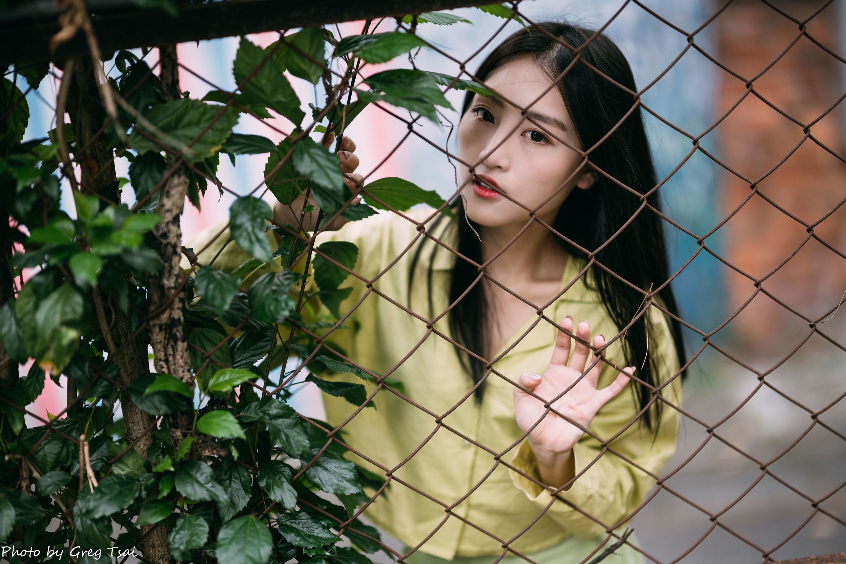 Candy - 北教大/(82P)