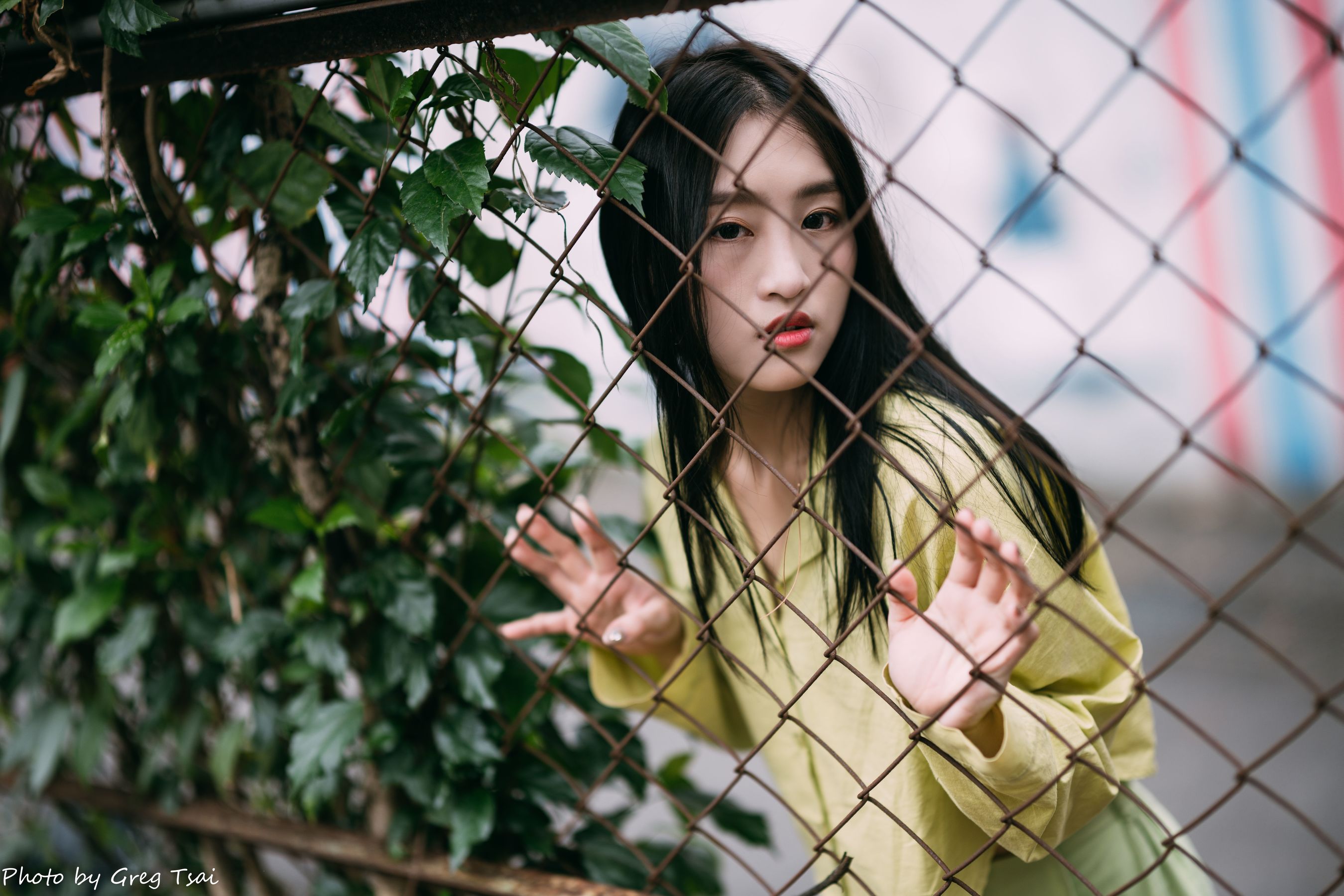 Candy - 北教大/(82P)