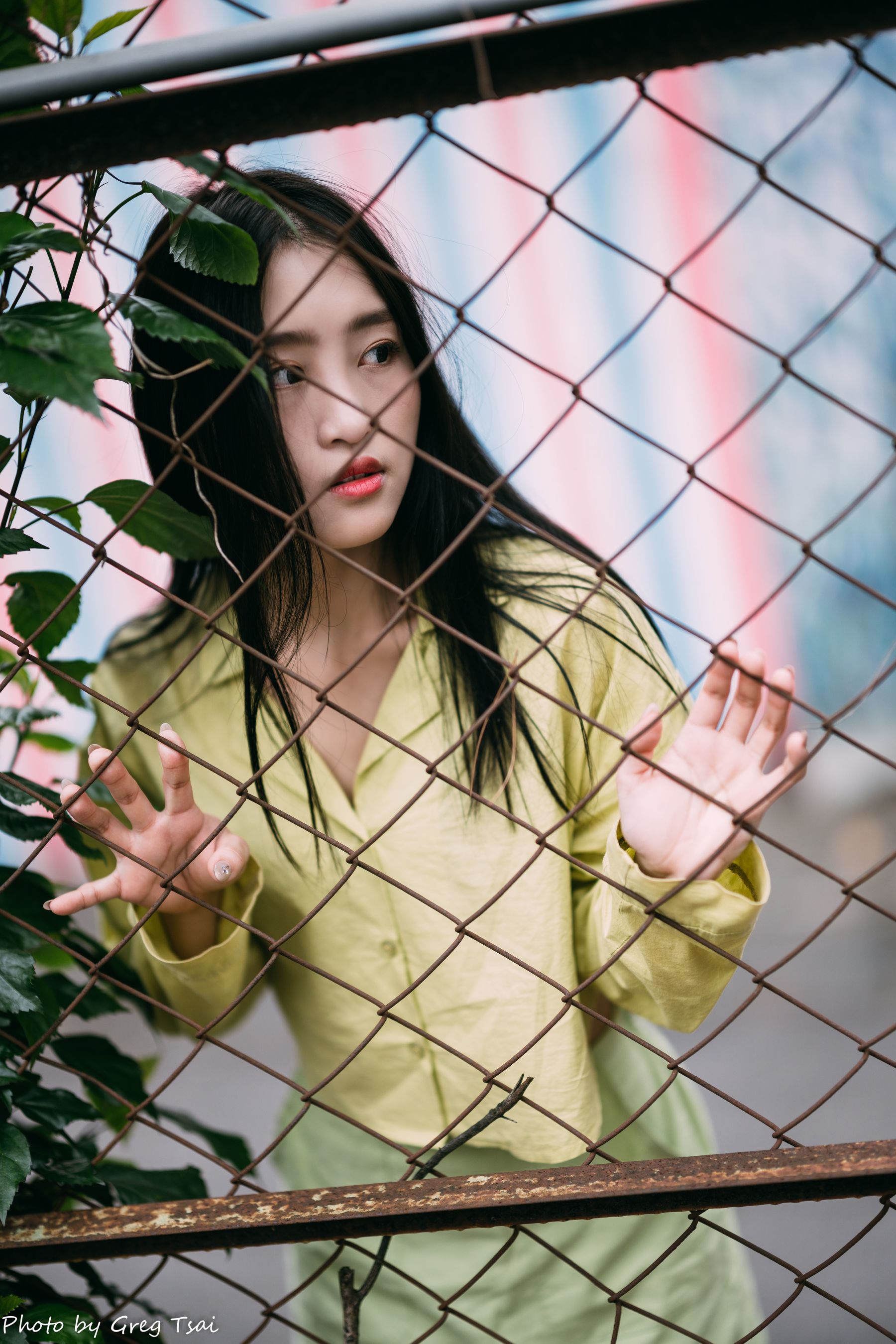 Candy - 北教大/(82P)