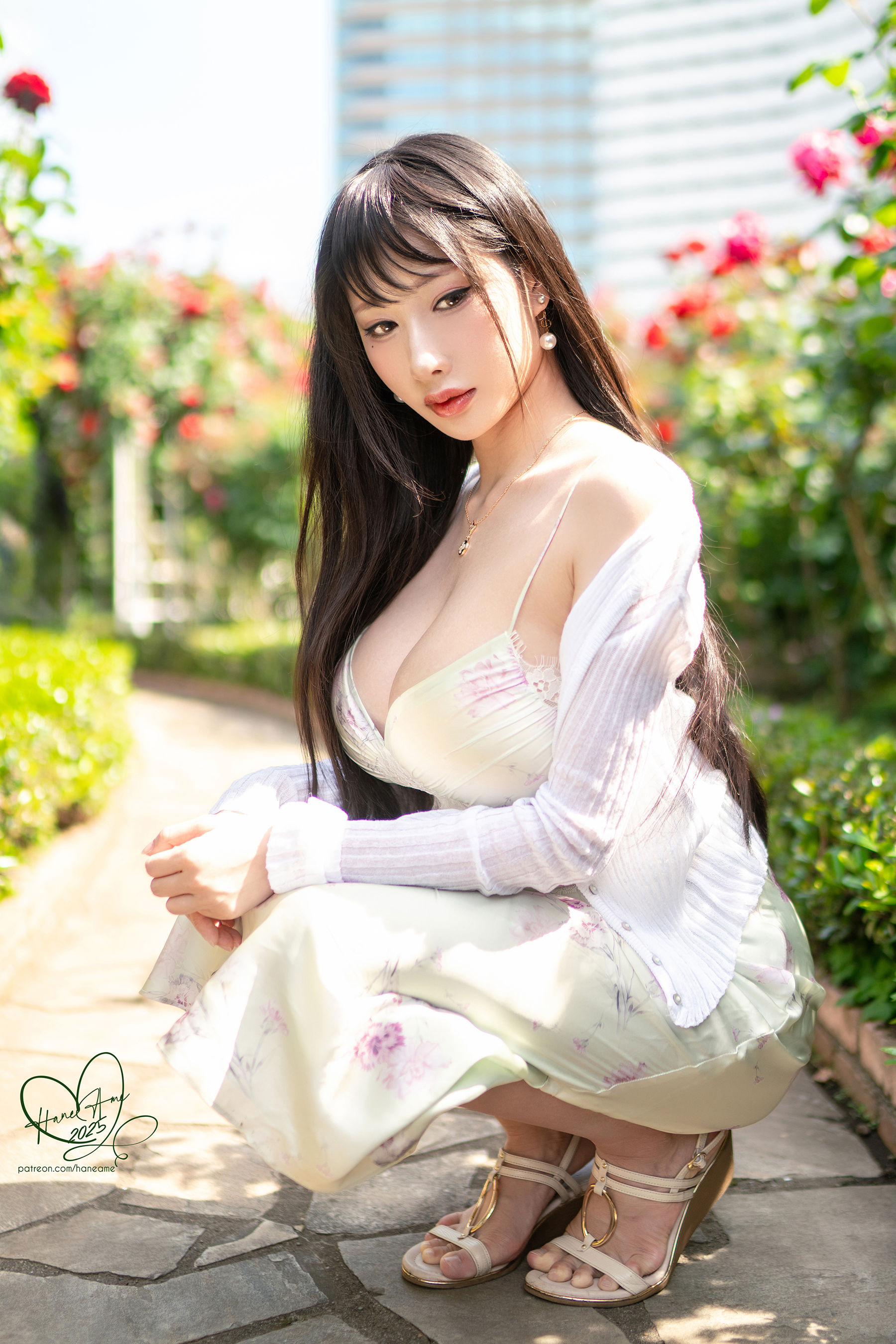 Hane Ame 雨波 写真 - 玫瑰刚好绽放/(11P)