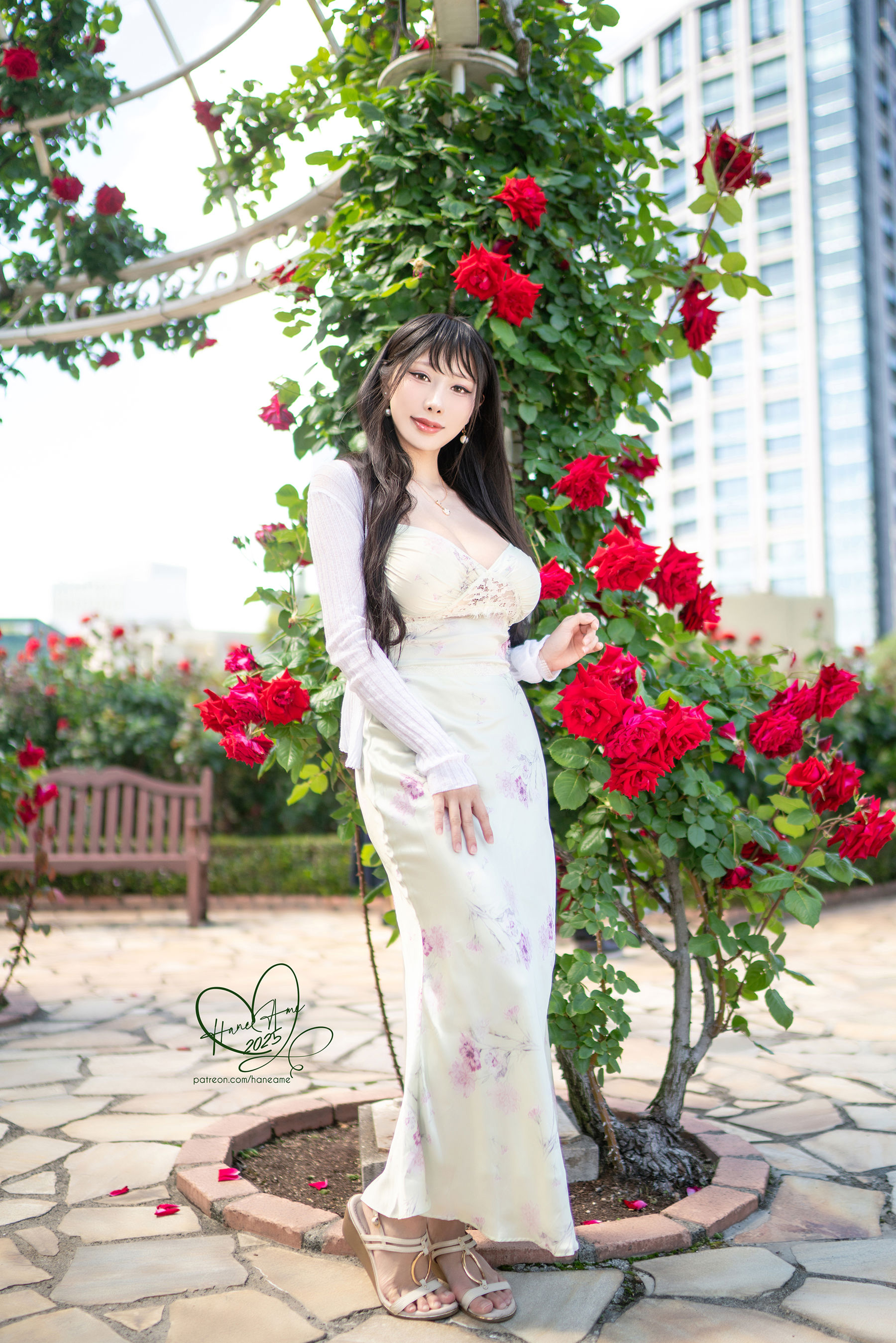 Hane Ame 雨波 写真 - 玫瑰刚好绽放/(11P)