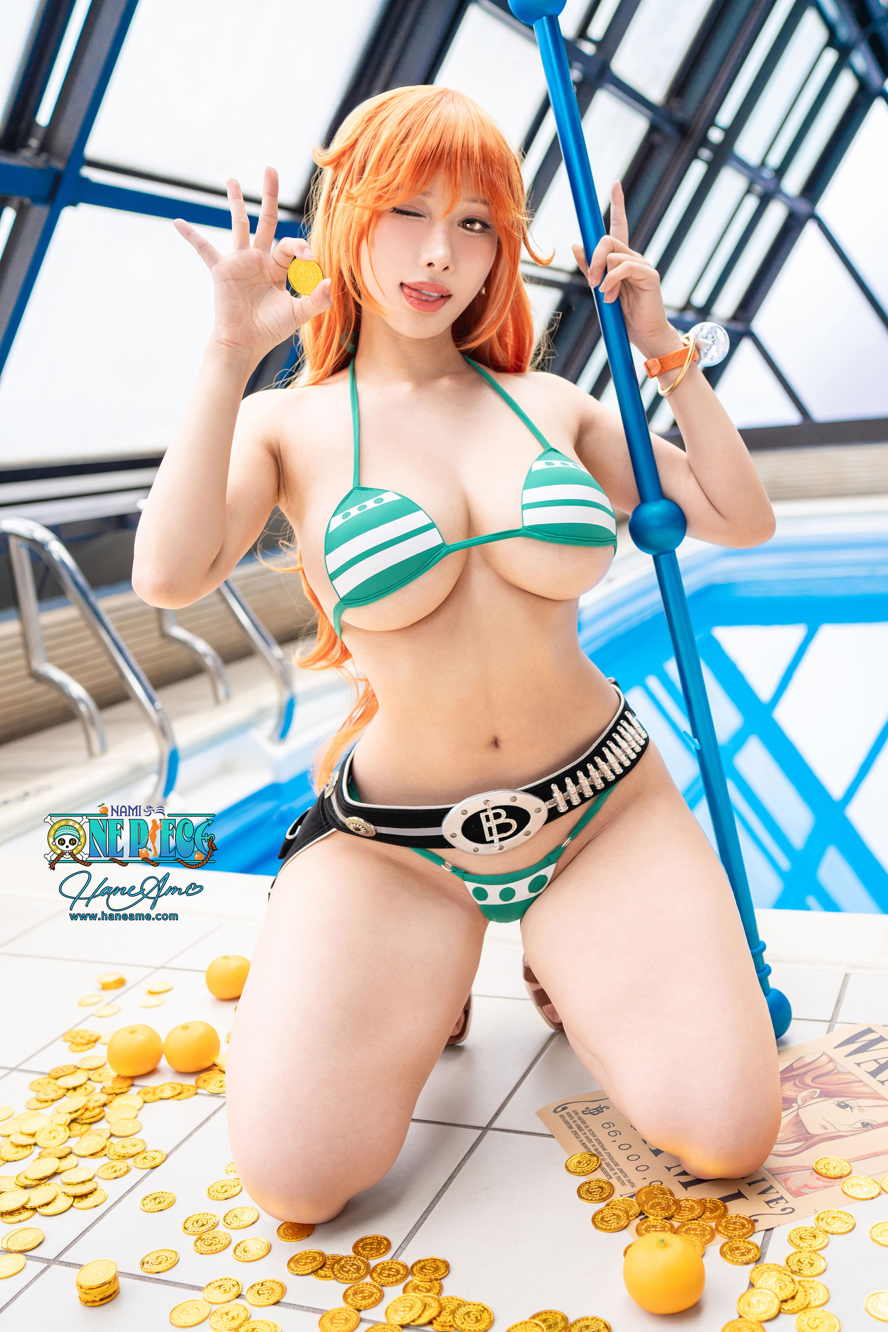 Hane Ame 雨波 写真 - 海賊王 娜美/(58P)