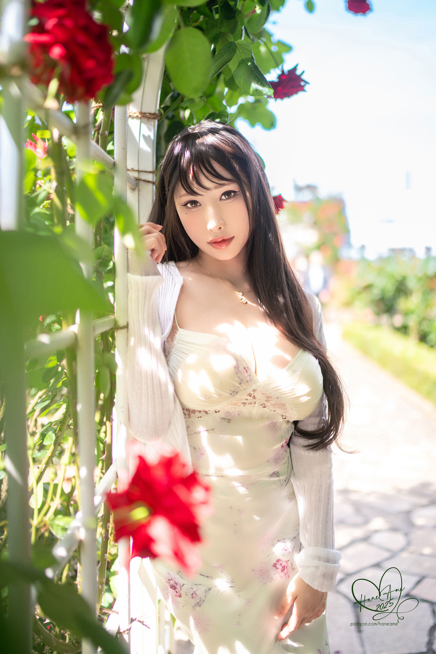 Hane Ame 雨波 写真 - 玫瑰刚好绽放/(11P)