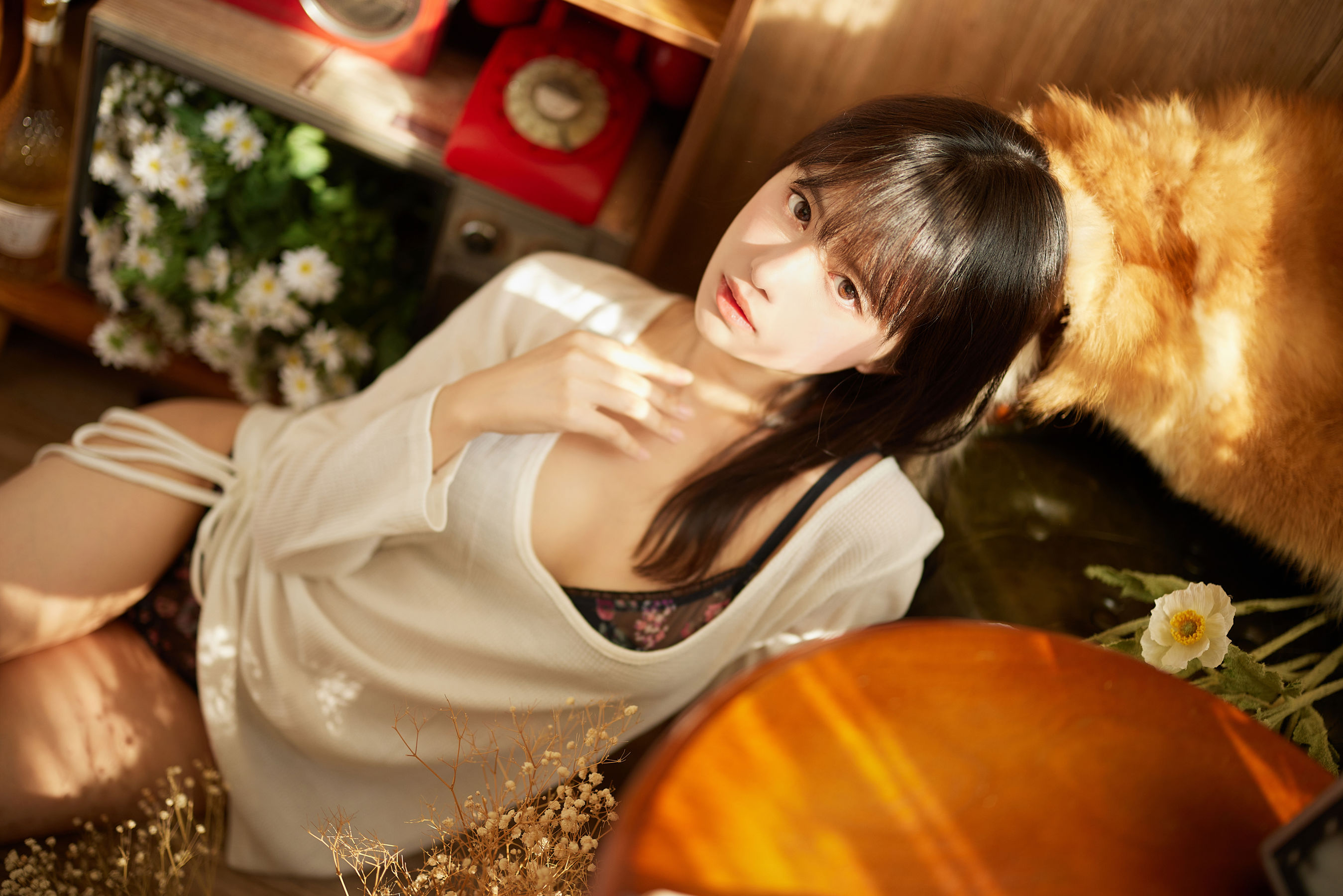 Shika小鹿鹿 - Dokidoki2/(100P)