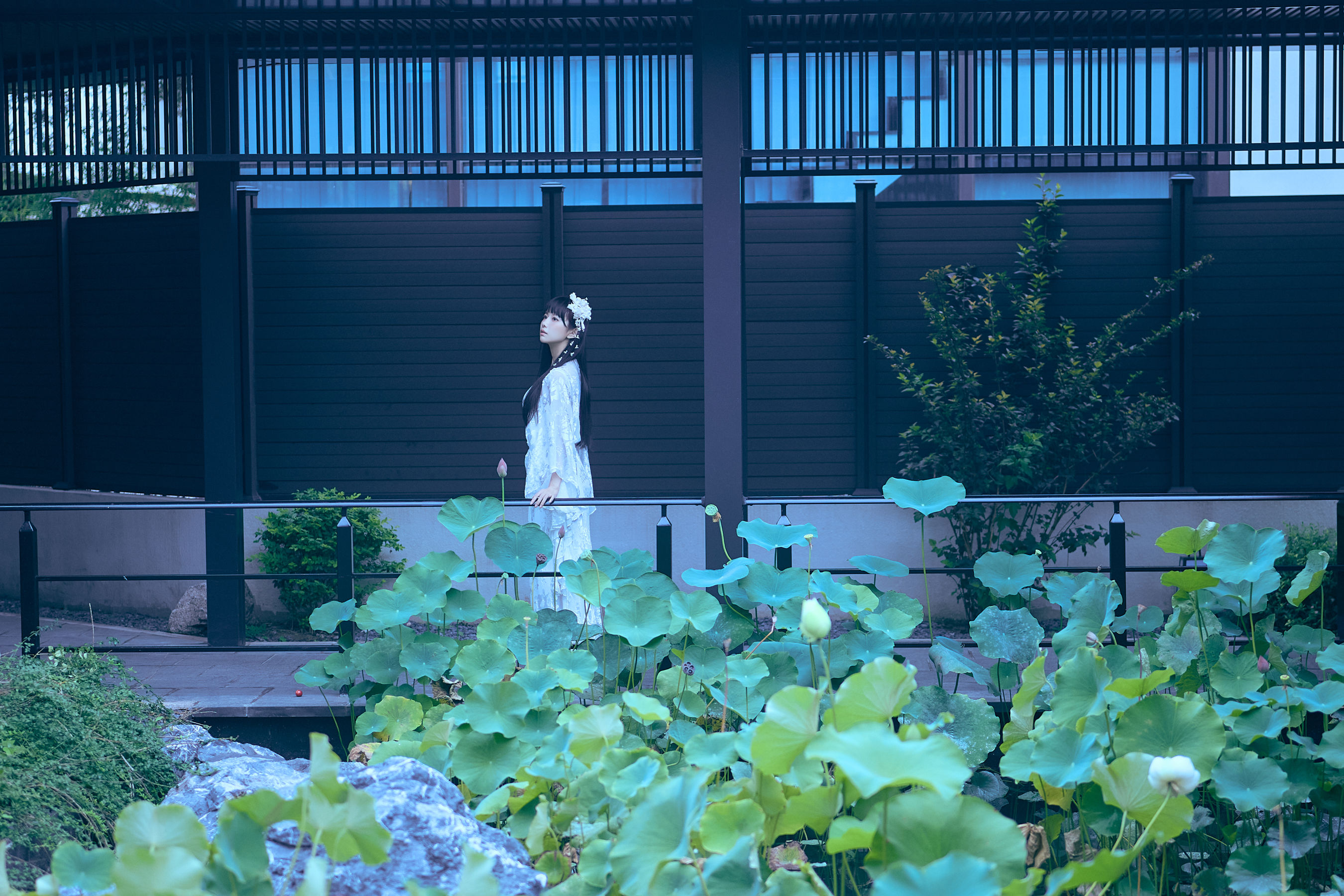 Shika小鹿鹿 - 新中式/(21P)