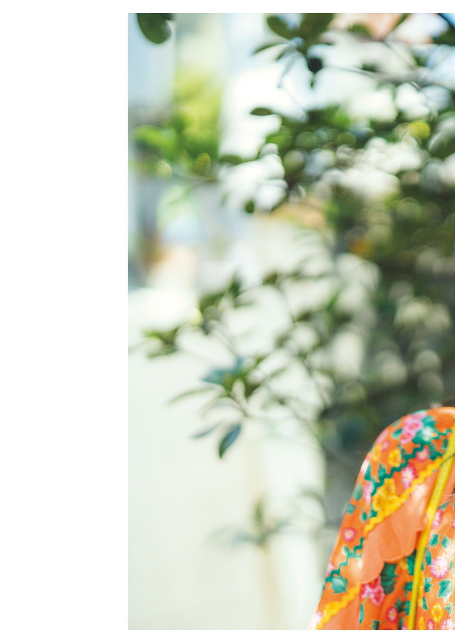 今森茉耶 - Love Begins 恋がはじまる/(158P)