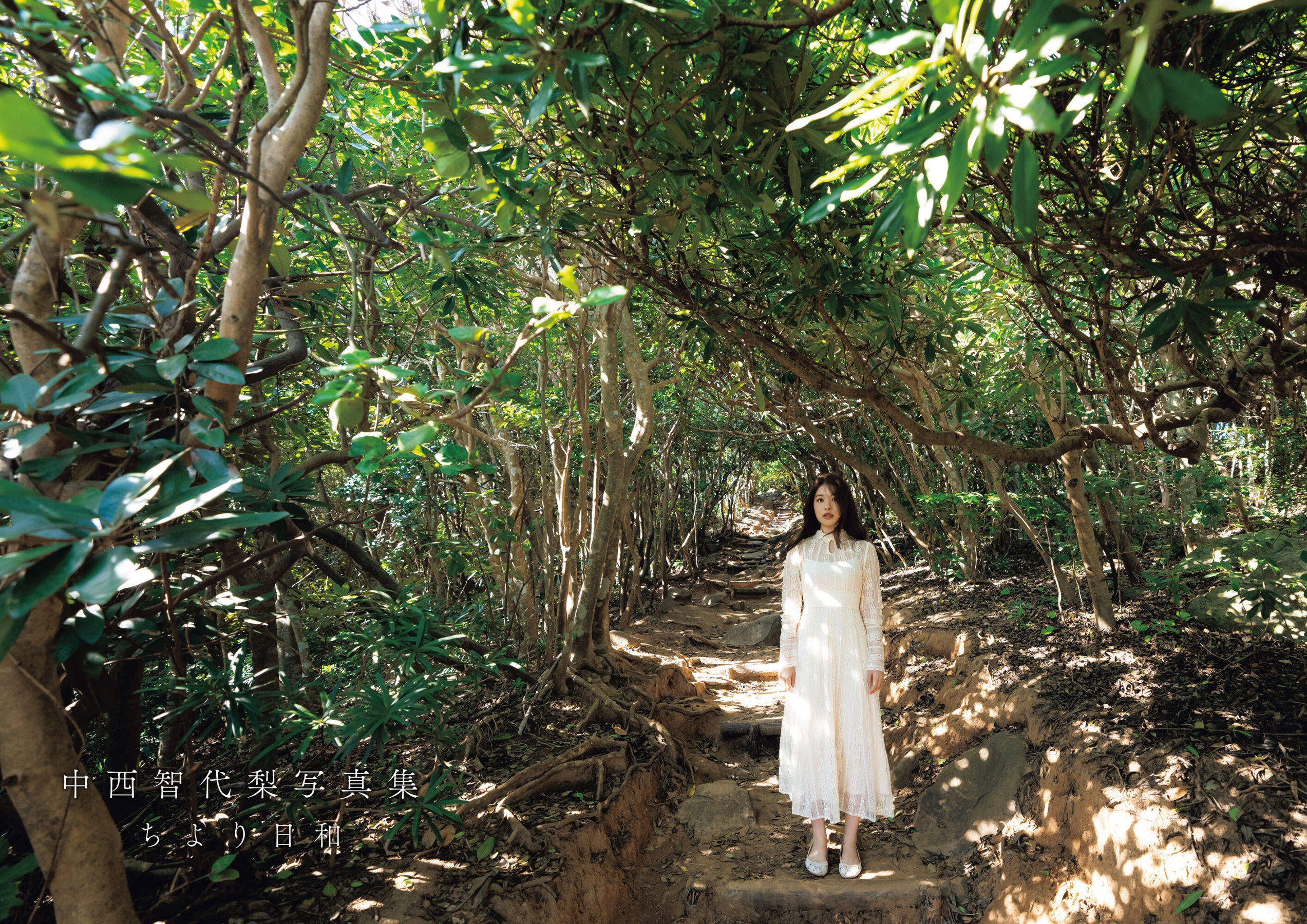 中西智代梨 - ちより日和/(121P)