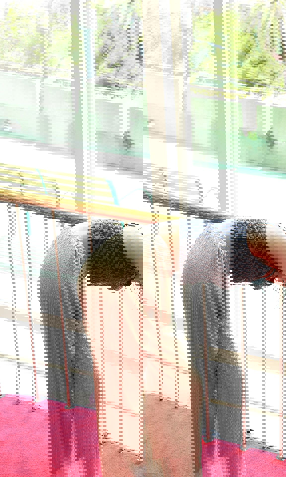 井桁弘恵 - BE{Free}/(52P)