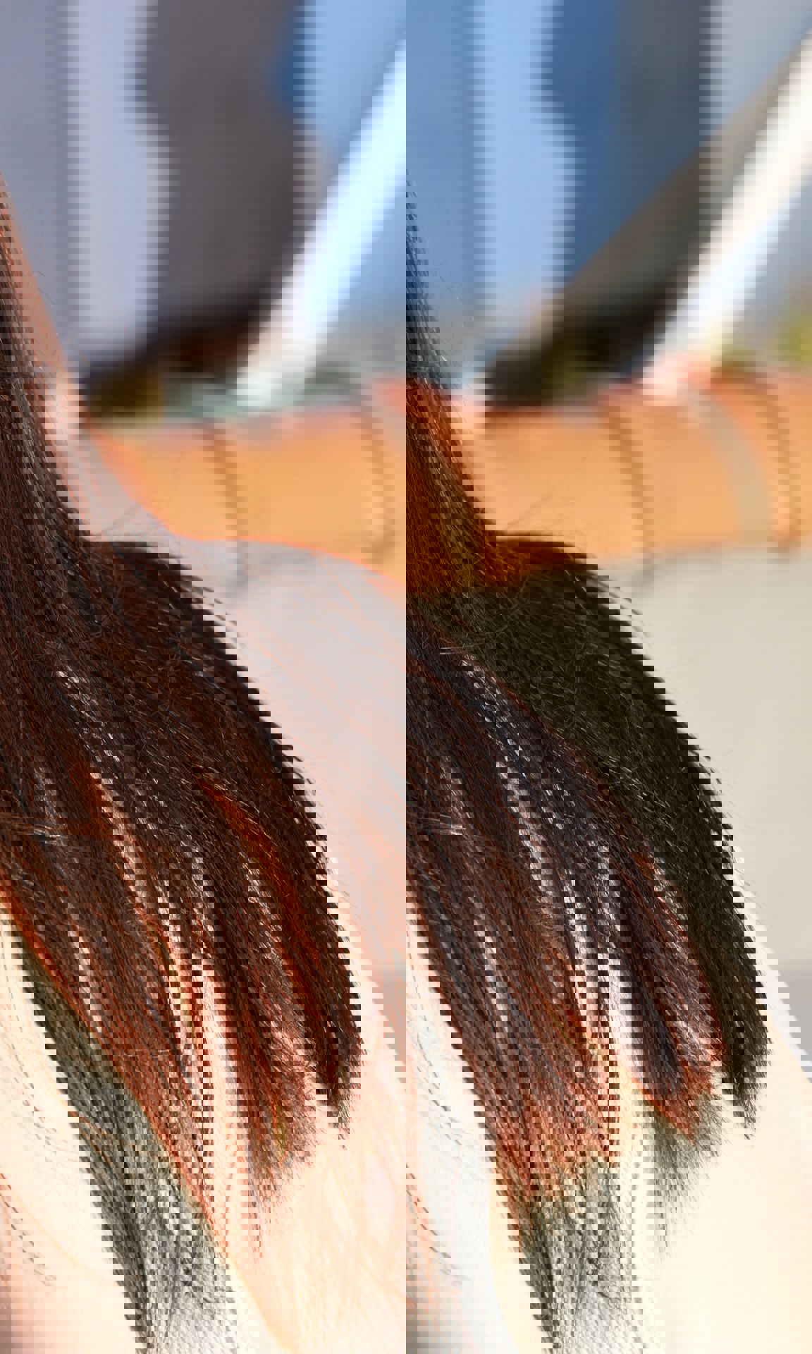 井桁弘恵 - BE{Free}/(52P)