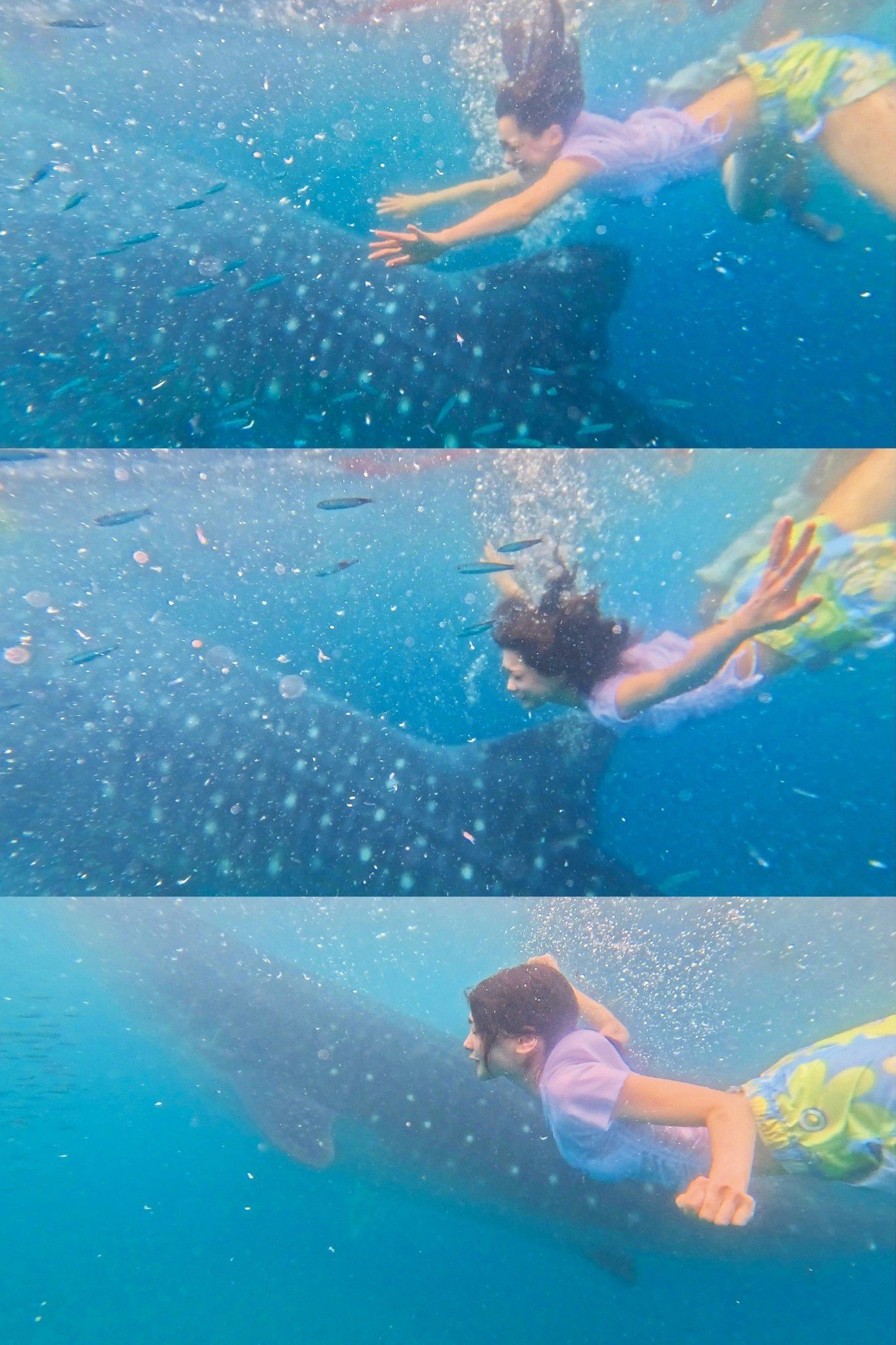 今森茉耶 - Love Begins 恋がはじまる/(158P)