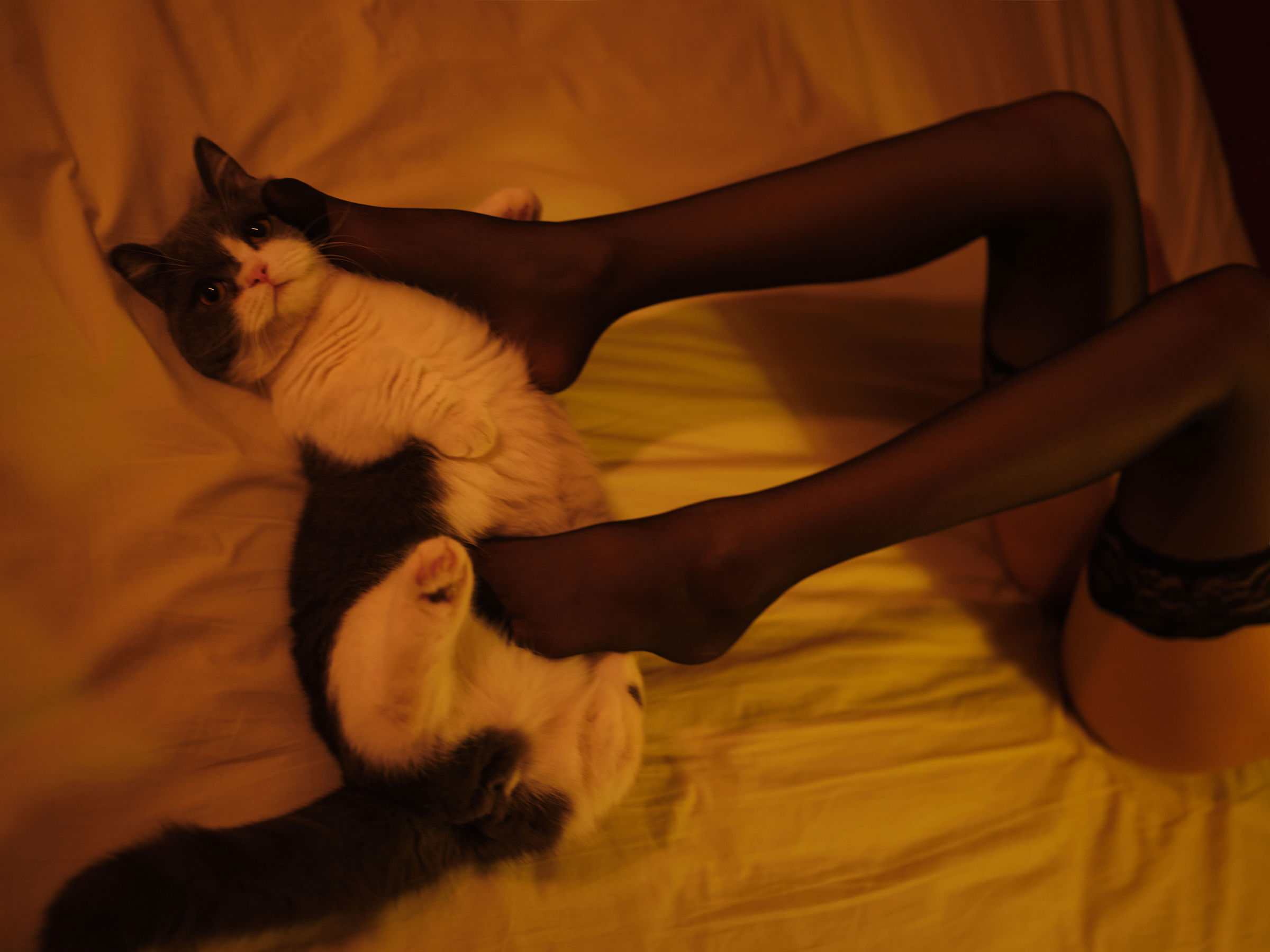 一米八的大梨子 - 复活黑/(27P)