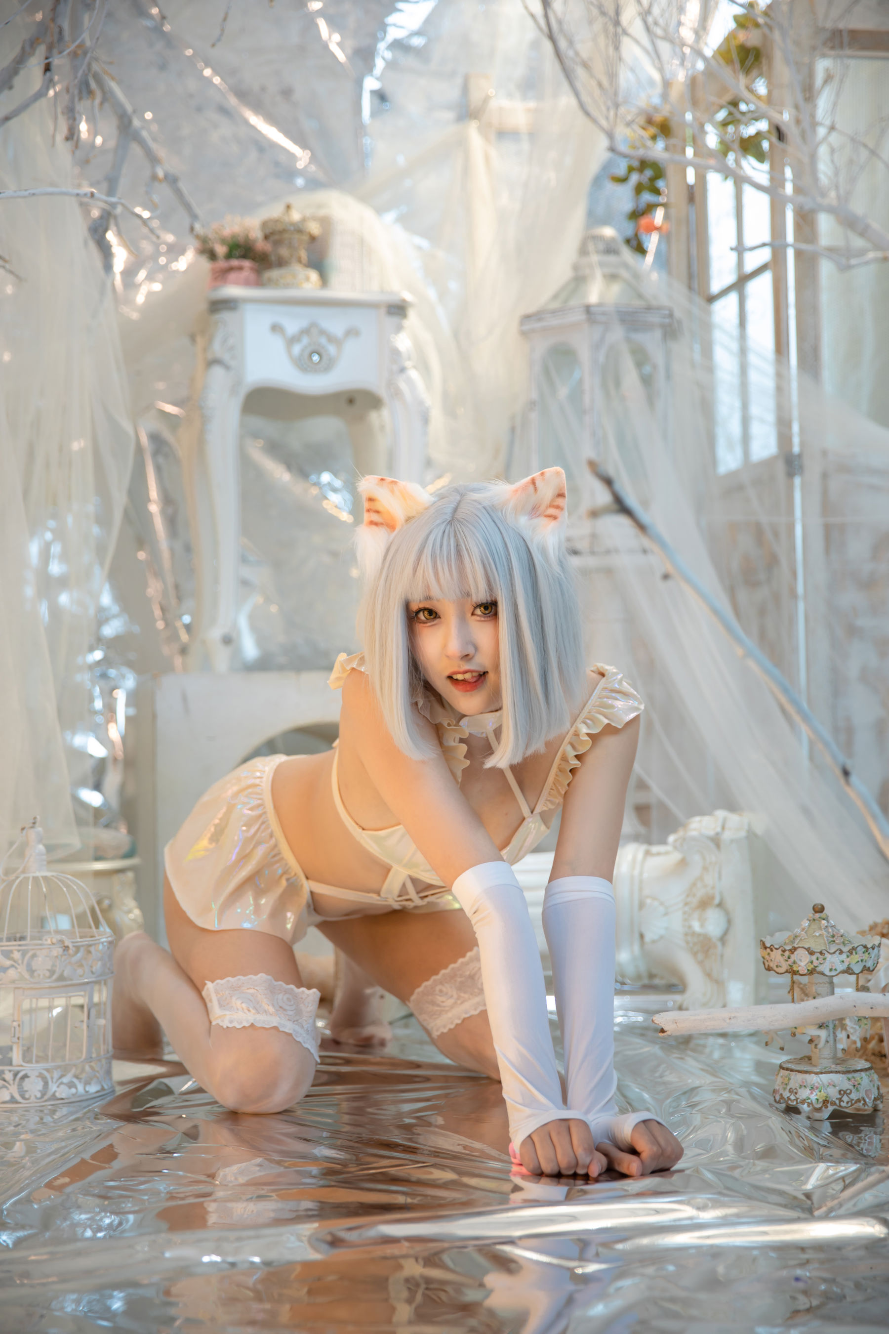 冬马路纱 - 猫猫拳/(40P)