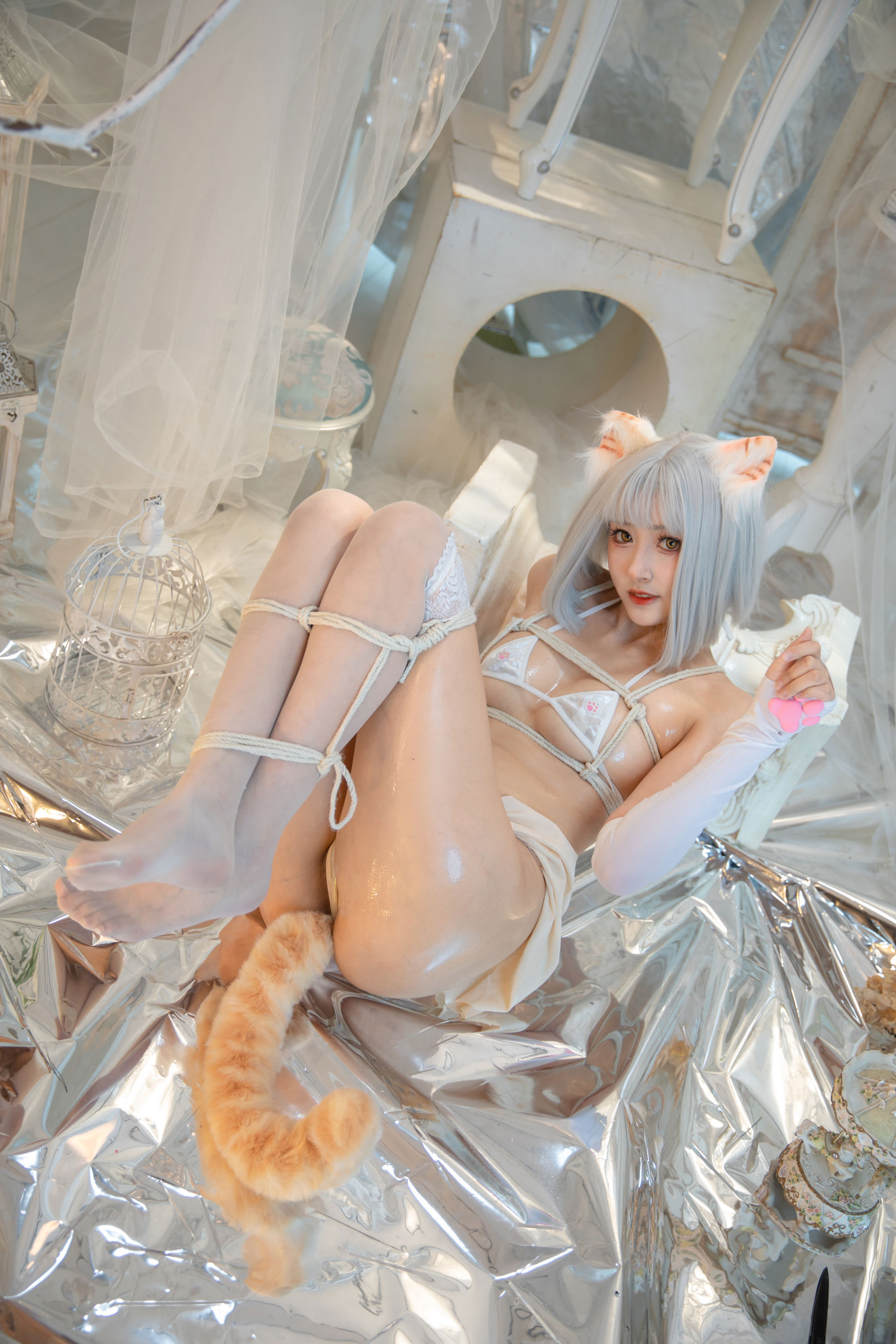 冬马路纱 - 猫猫拳/(40P)