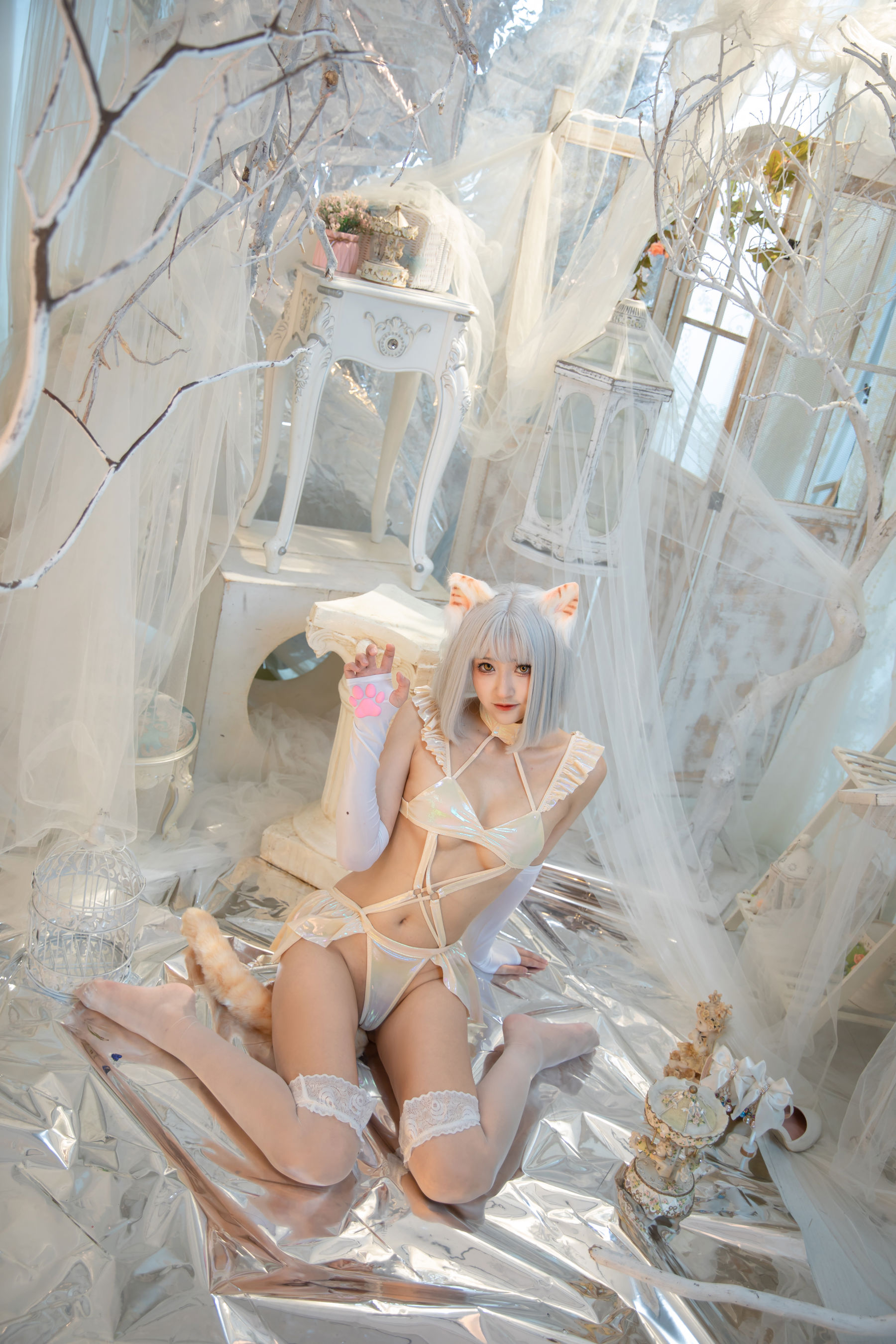 冬马路纱 - 猫猫拳/(40P)