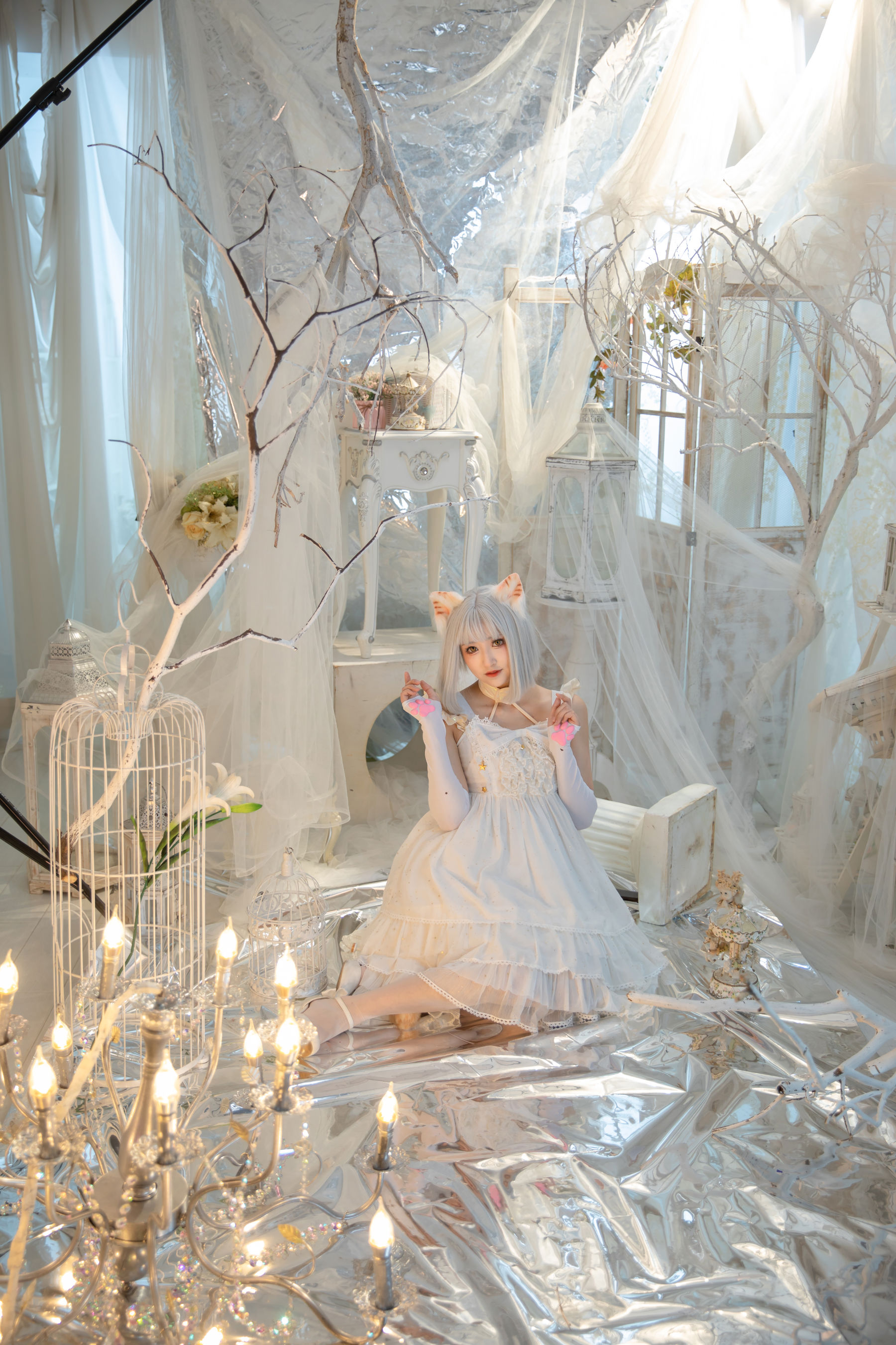 冬马路纱 - 猫猫拳/(40P)