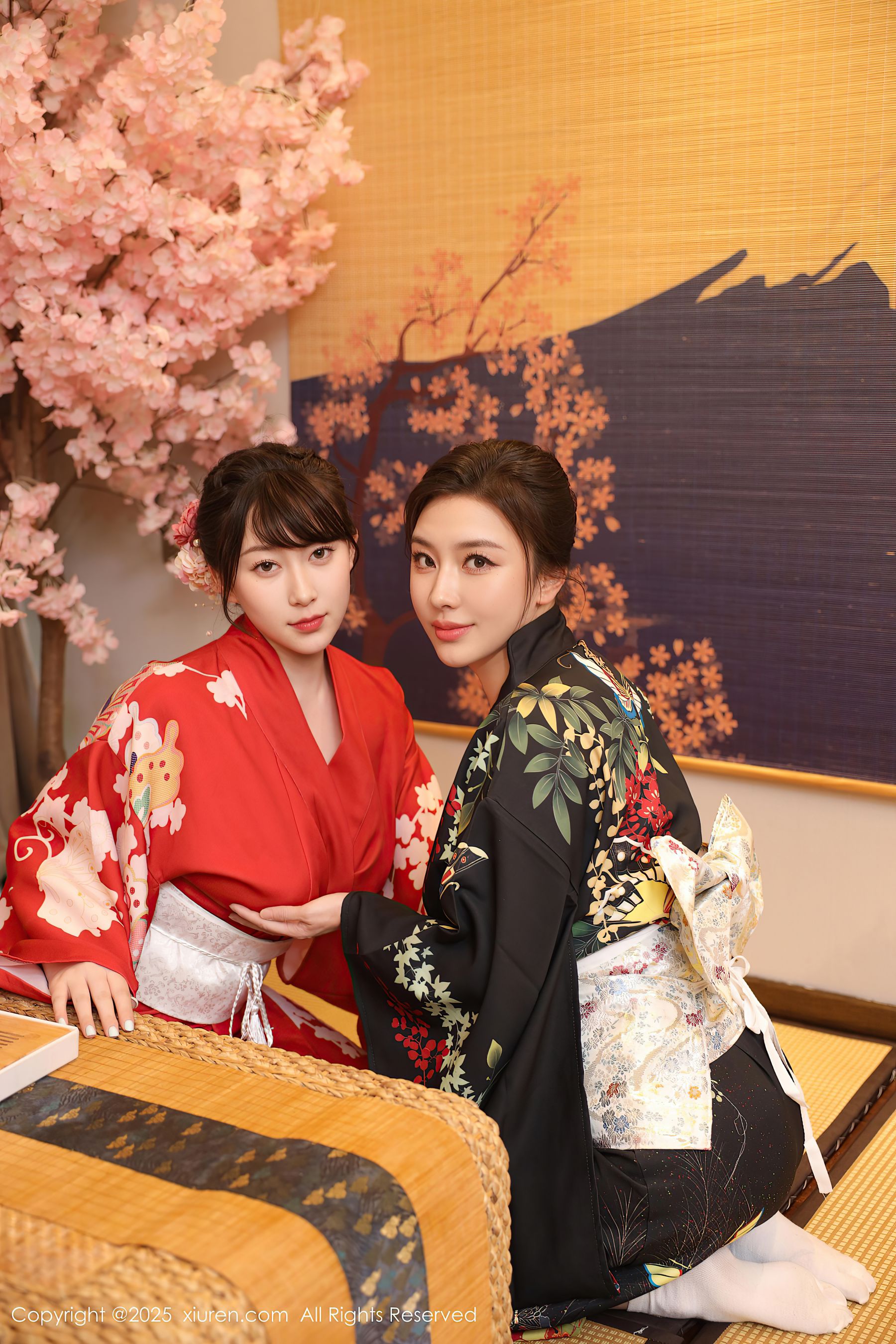 [秀人XiuRen] 2025.08.07 No.10627 苏一诺/(80P)