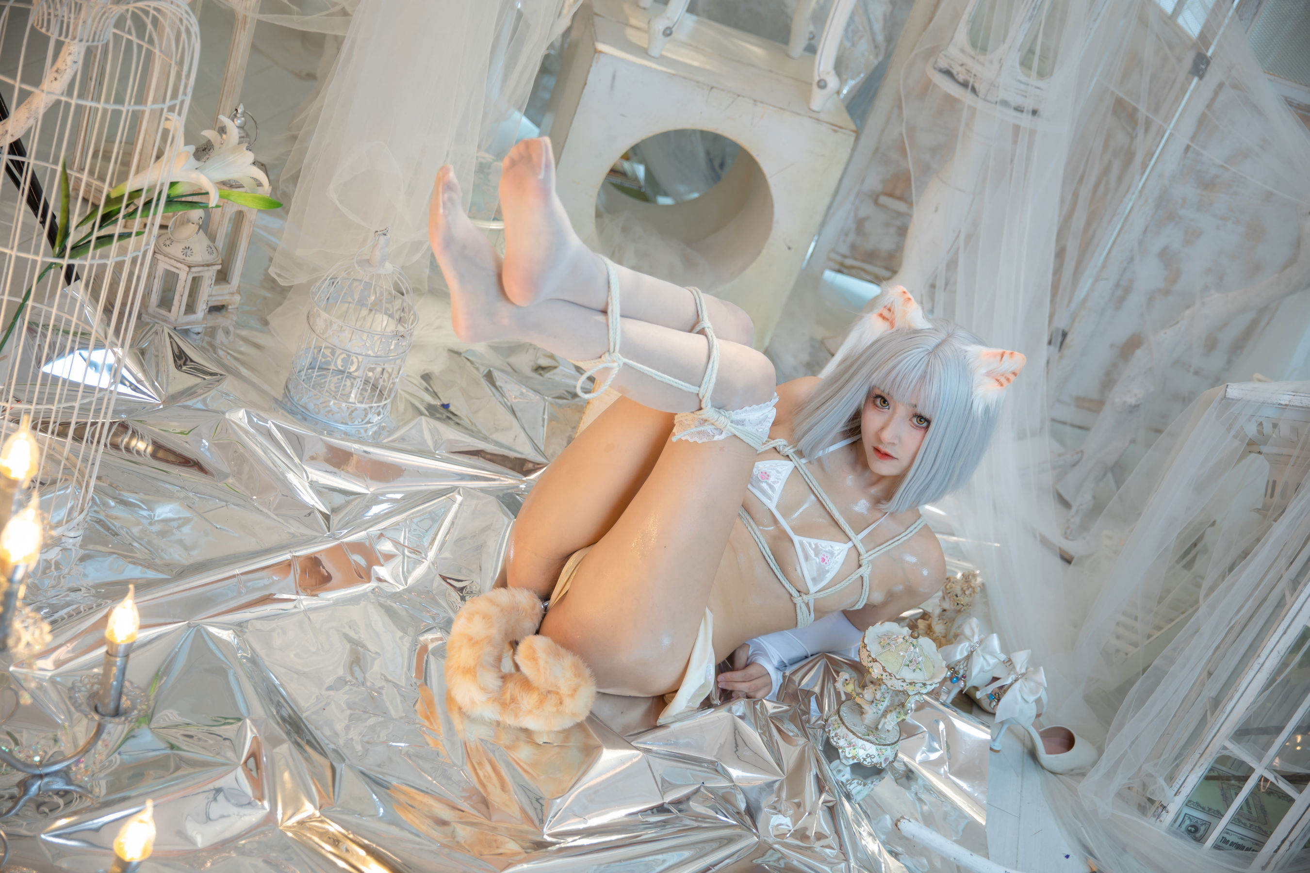 冬马路纱 - 猫猫拳/(40P)