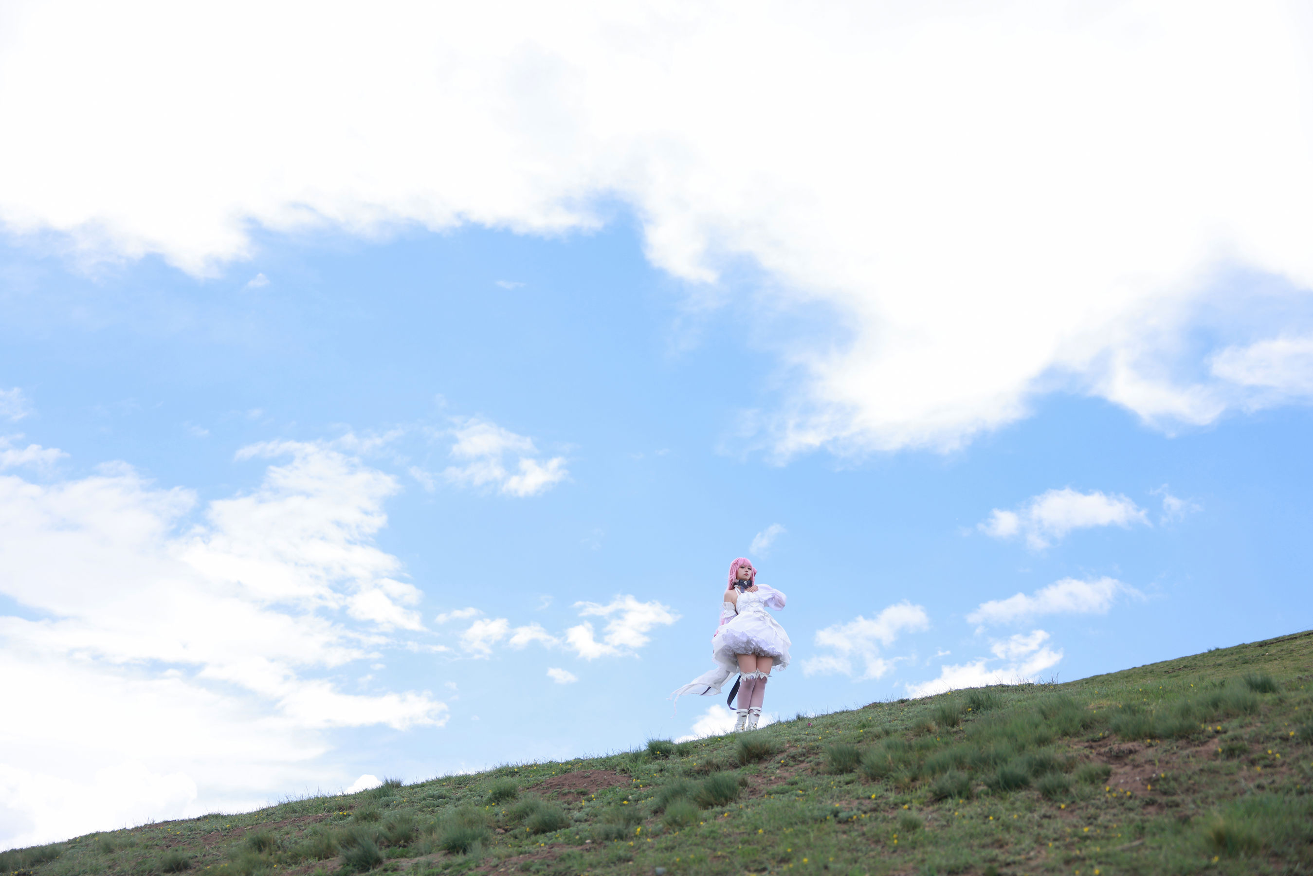 动漫博主G44不会受伤 - 桃乐丝/(20P)