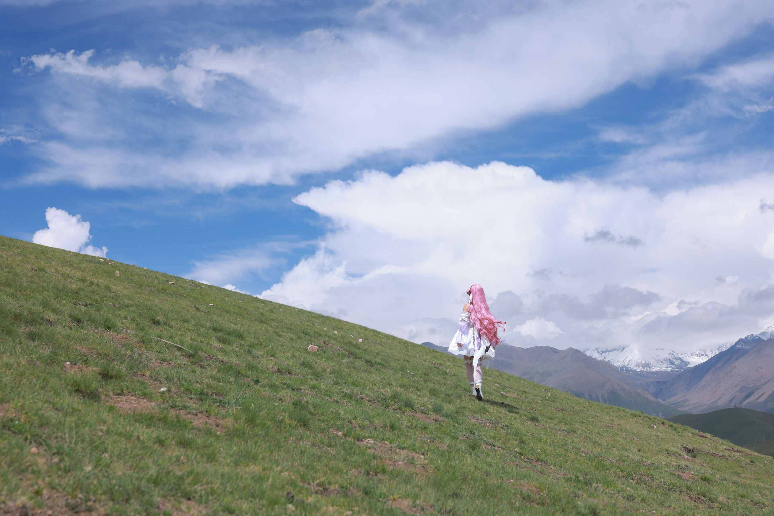 动漫博主G44不会受伤 - 桃乐丝/(20P)