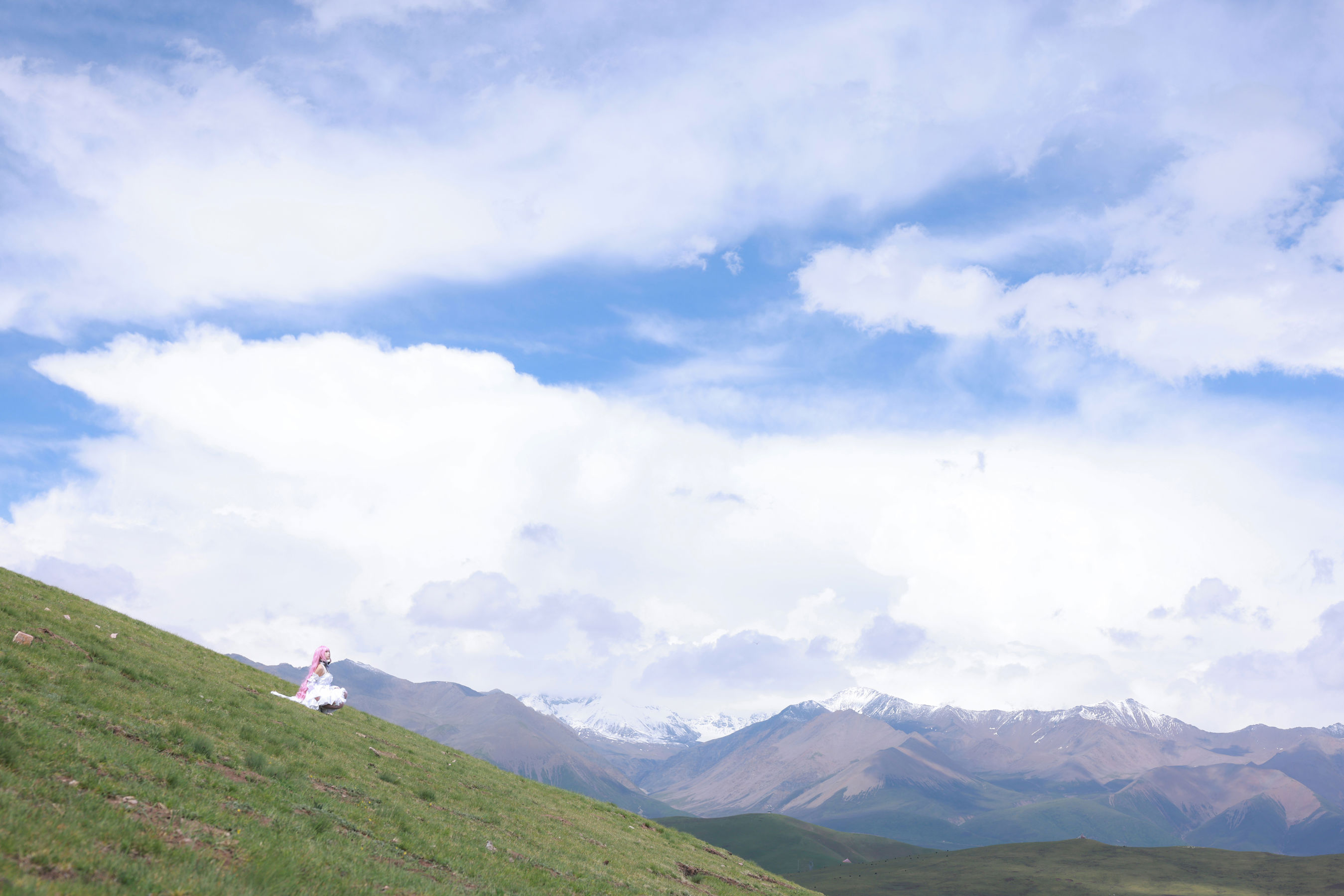 动漫博主G44不会受伤 - 桃乐丝/(20P)