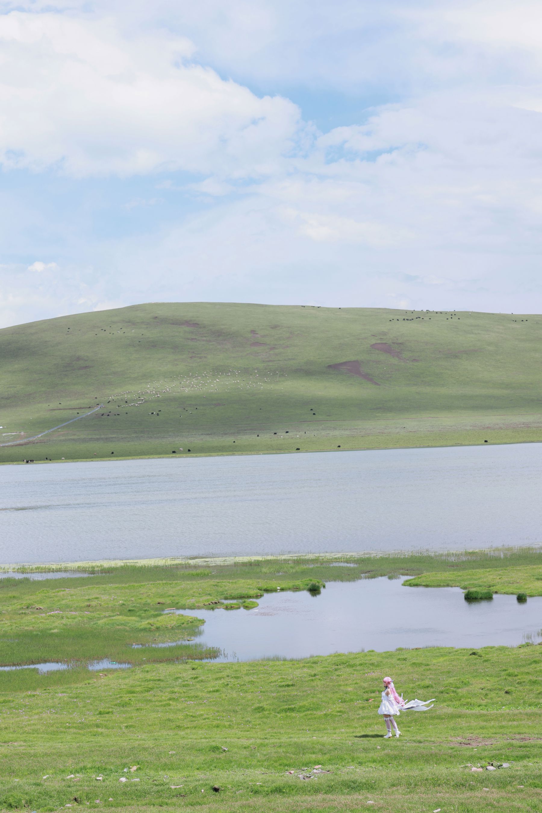 动漫博主G44不会受伤 - 桃乐丝/(20P)