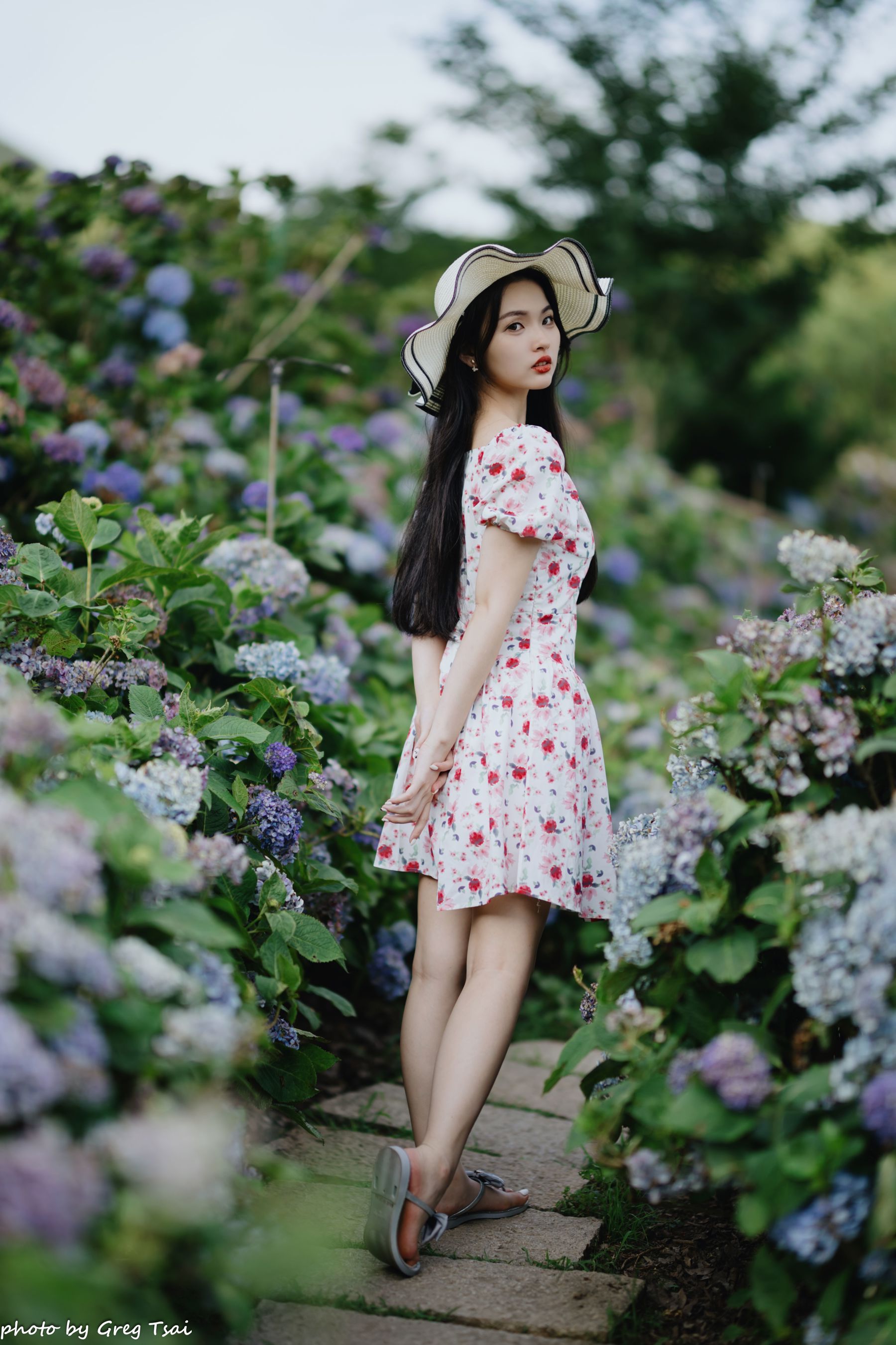 米浆 - 绣球花/(126P)