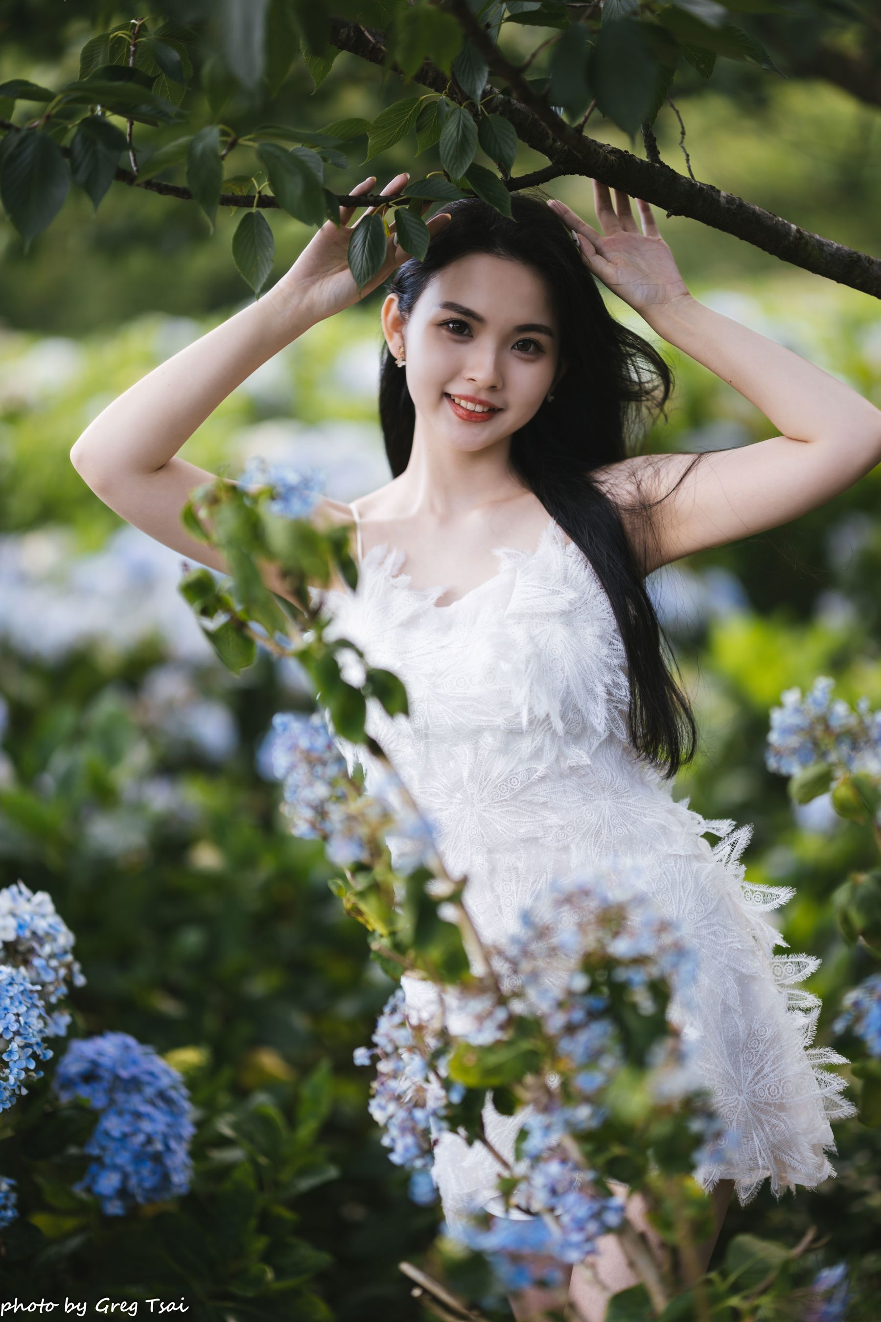 米浆 - 绣球花/(126P)