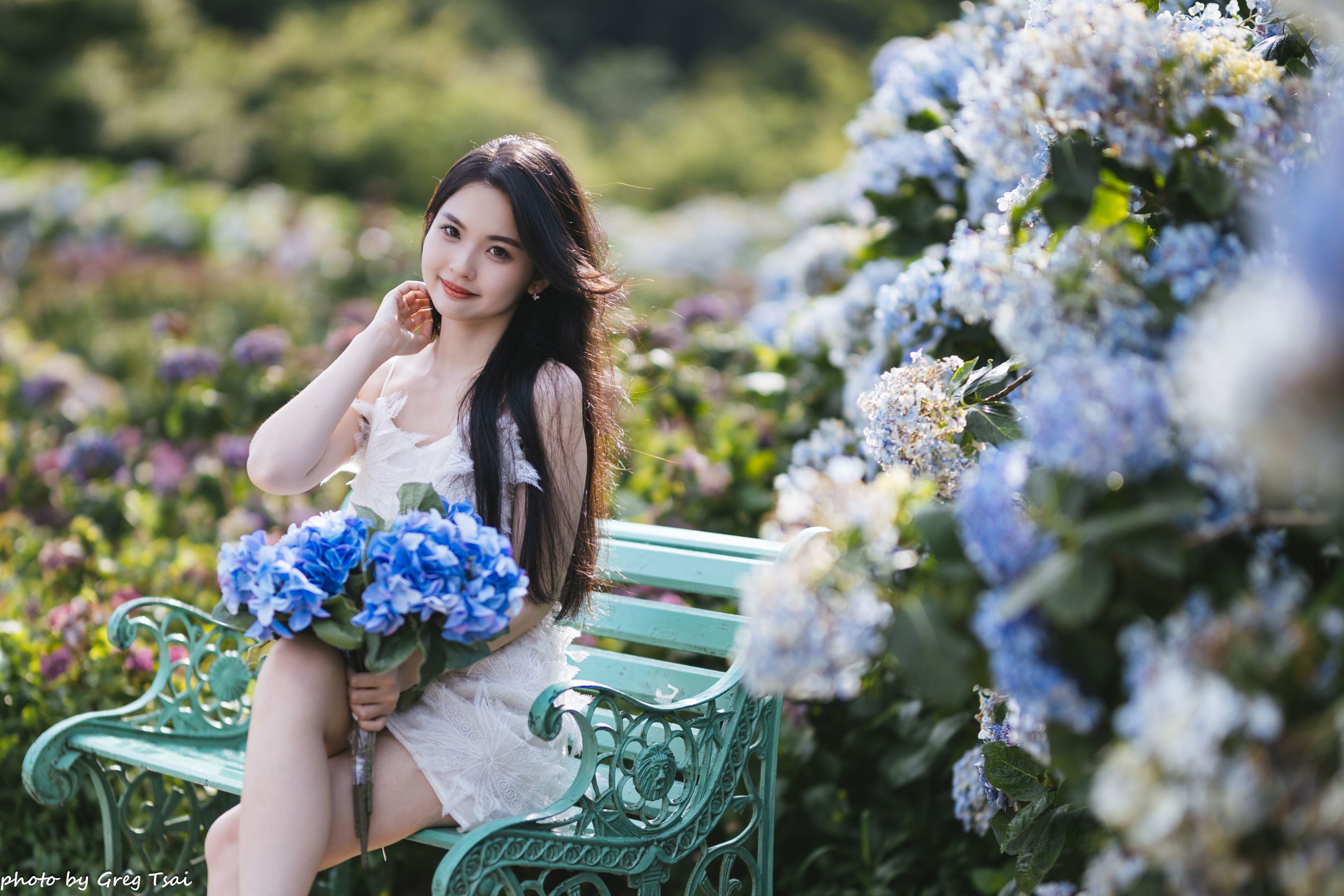 米浆 - 绣球花/(126P)