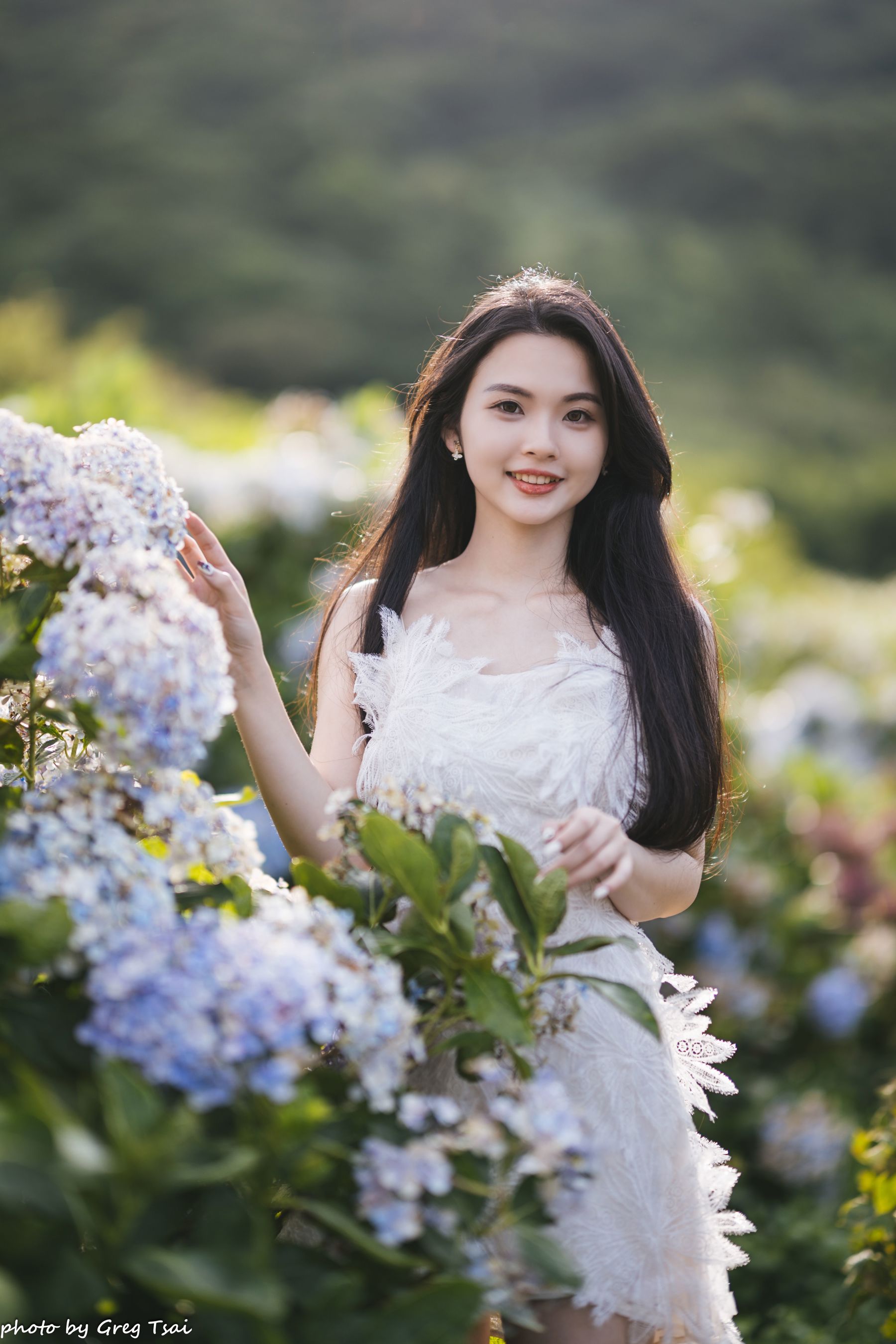 米浆 - 绣球花/(126P)