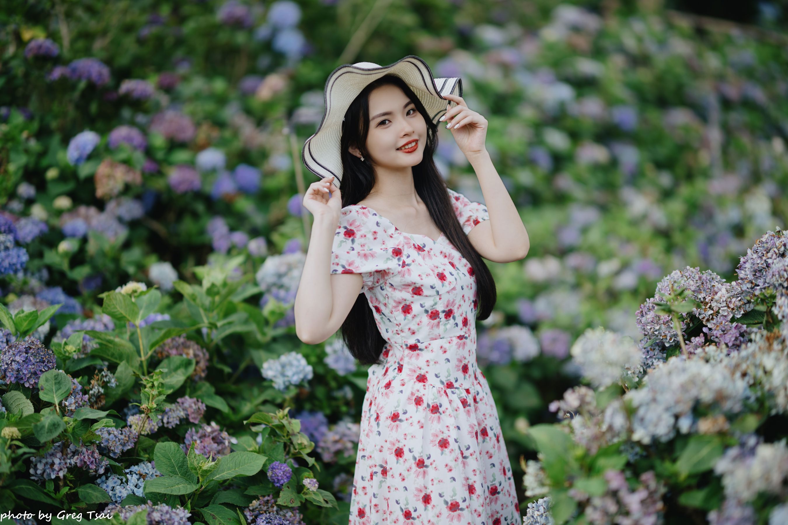 米浆 - 绣球花/(126P)