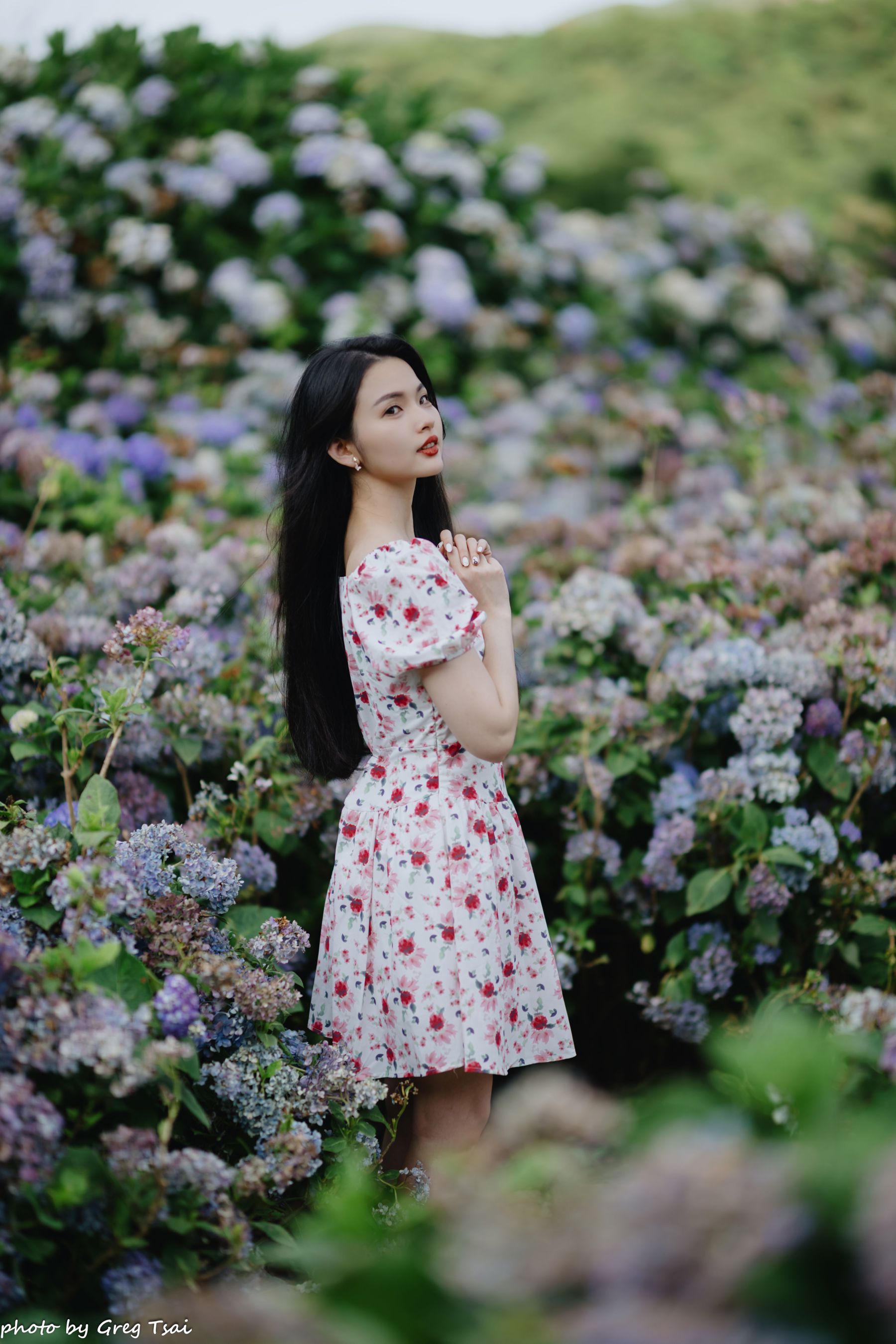 米浆 - 绣球花/(126P)