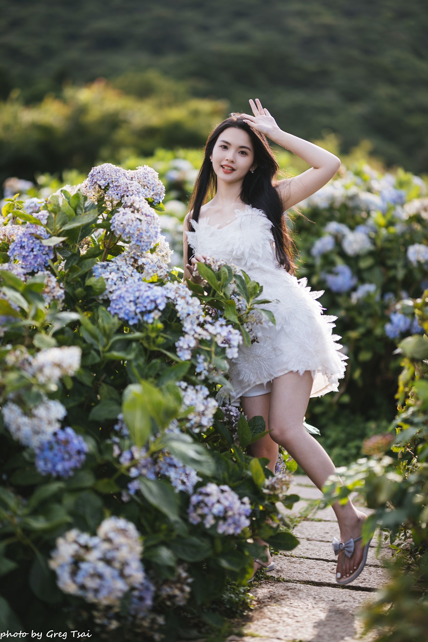 米浆 - 绣球花/(126P)