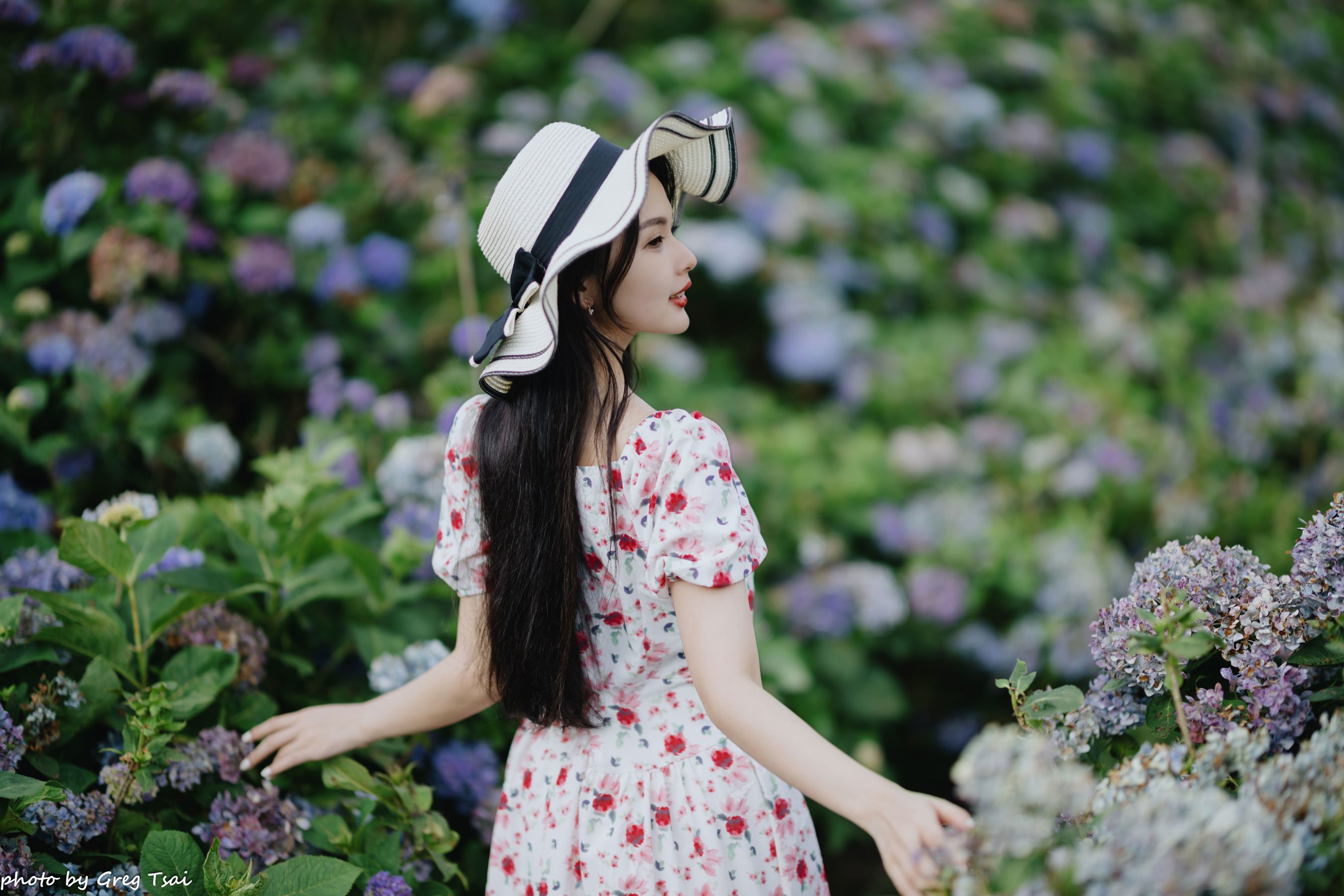 米浆 - 绣球花/(126P)