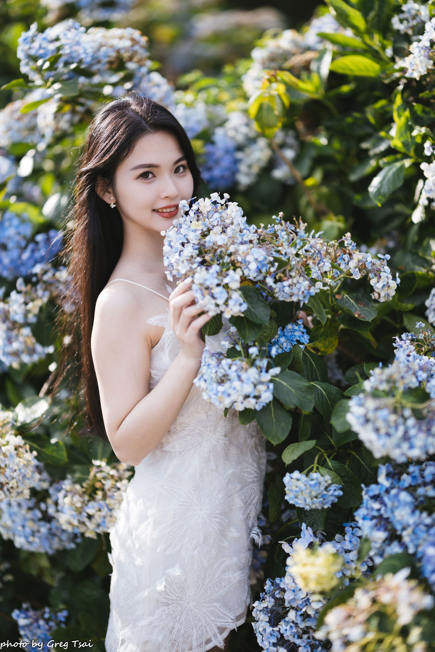 米浆 - 绣球花/(126P)