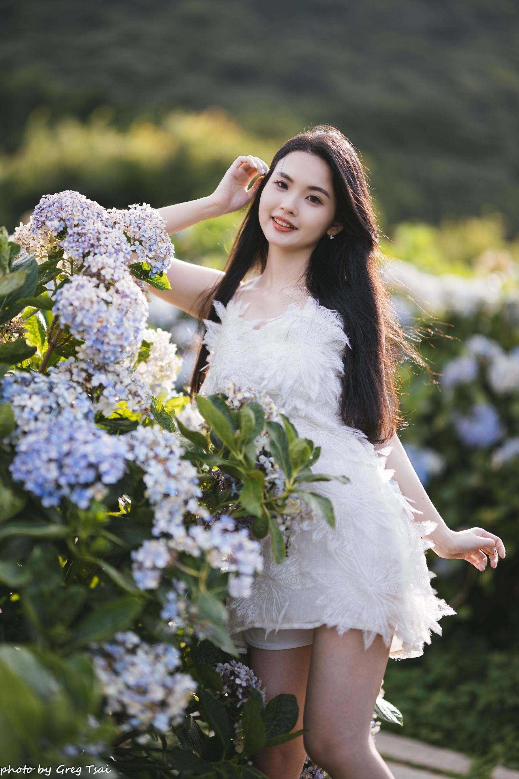 米浆 - 绣球花/(126P)