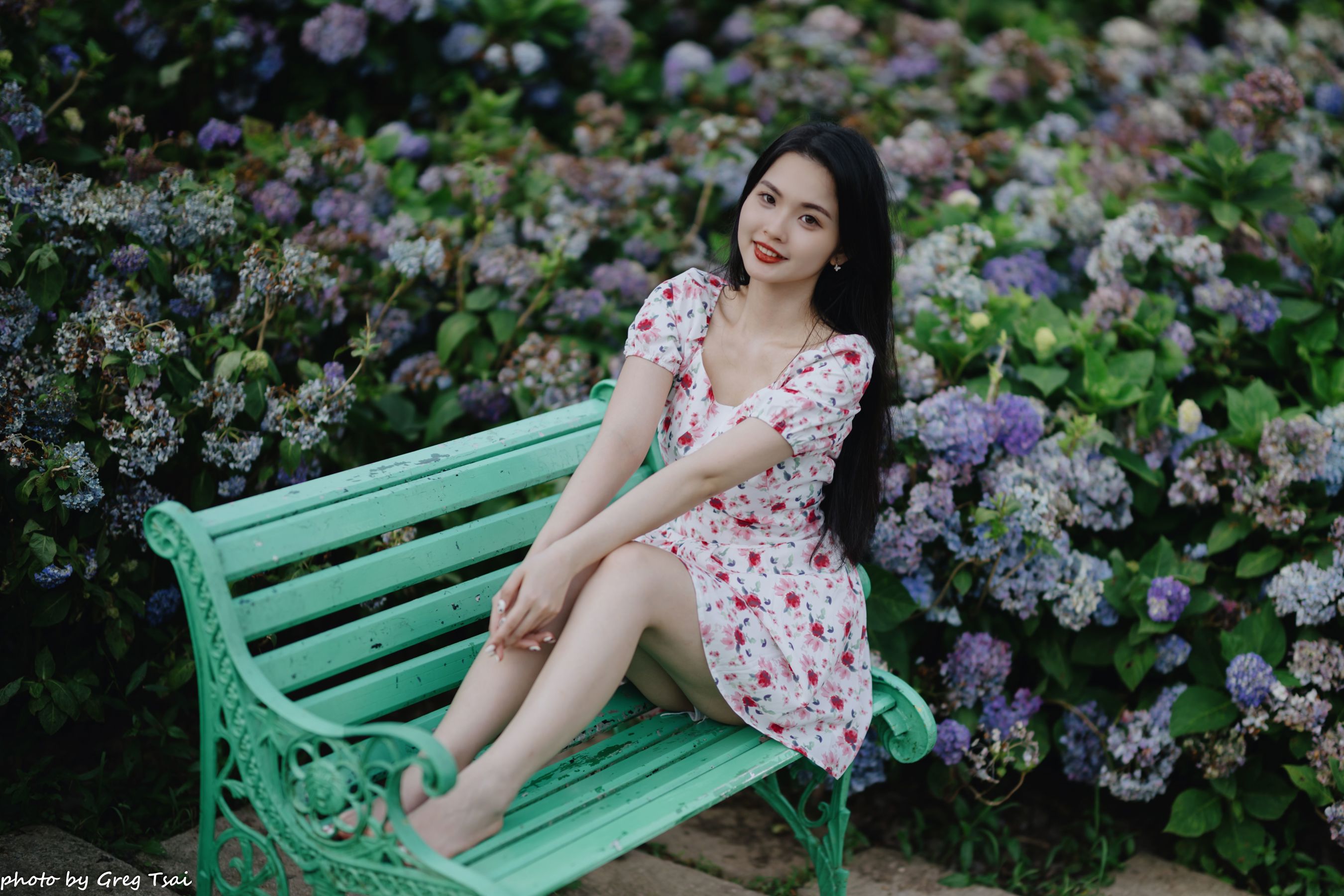 米浆 - 绣球花/(126P)