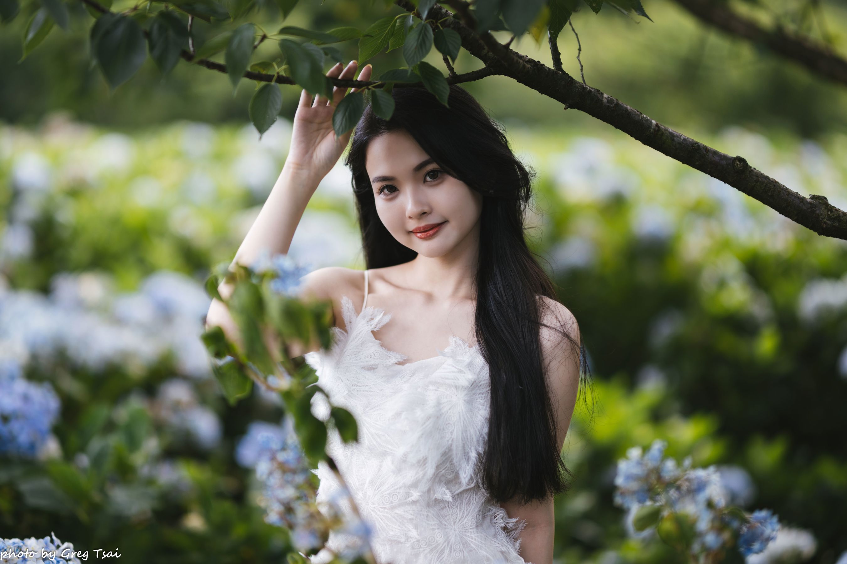 米浆 - 绣球花/(126P)