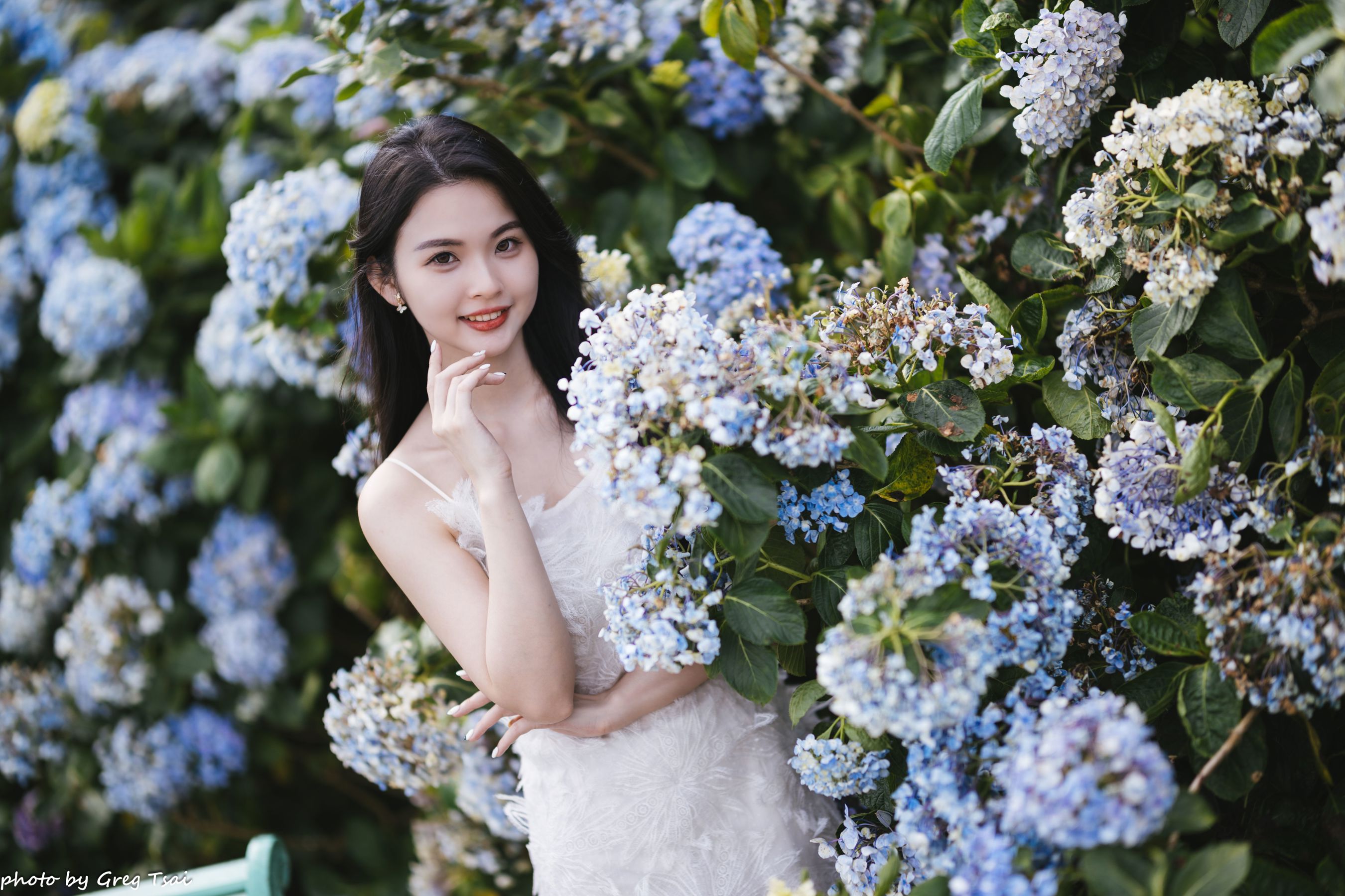 米浆 - 绣球花/(126P)