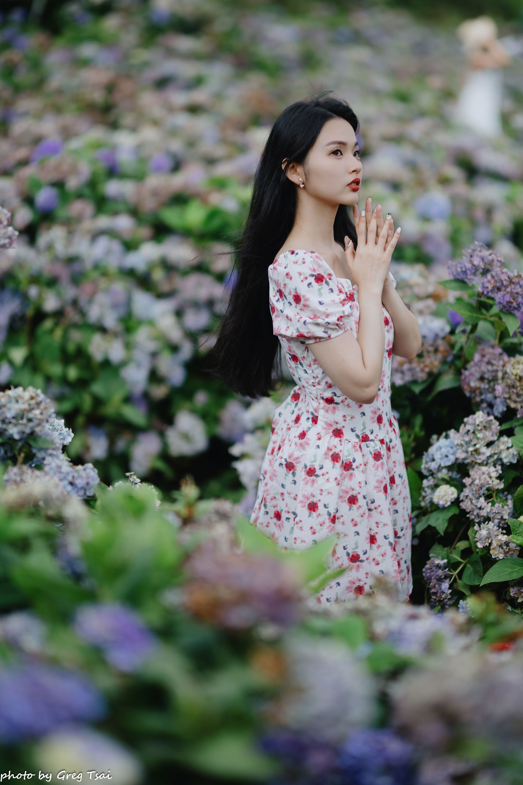 米浆 - 绣球花/(126P)