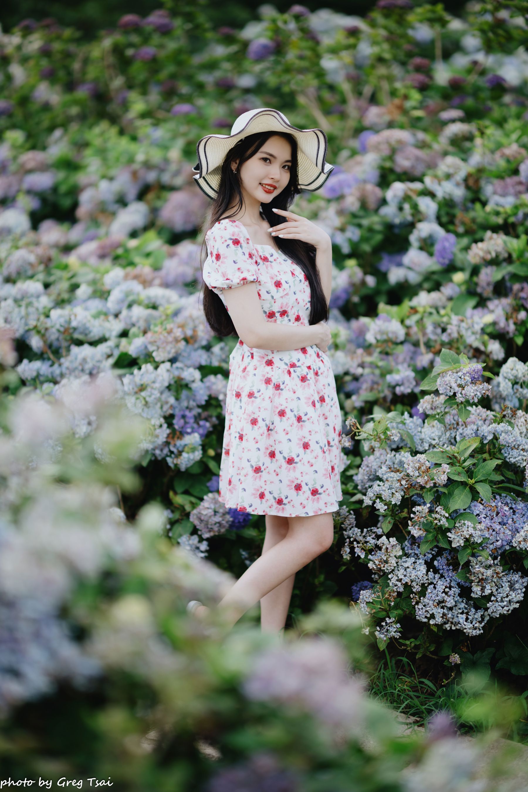 米浆 - 绣球花/(126P)