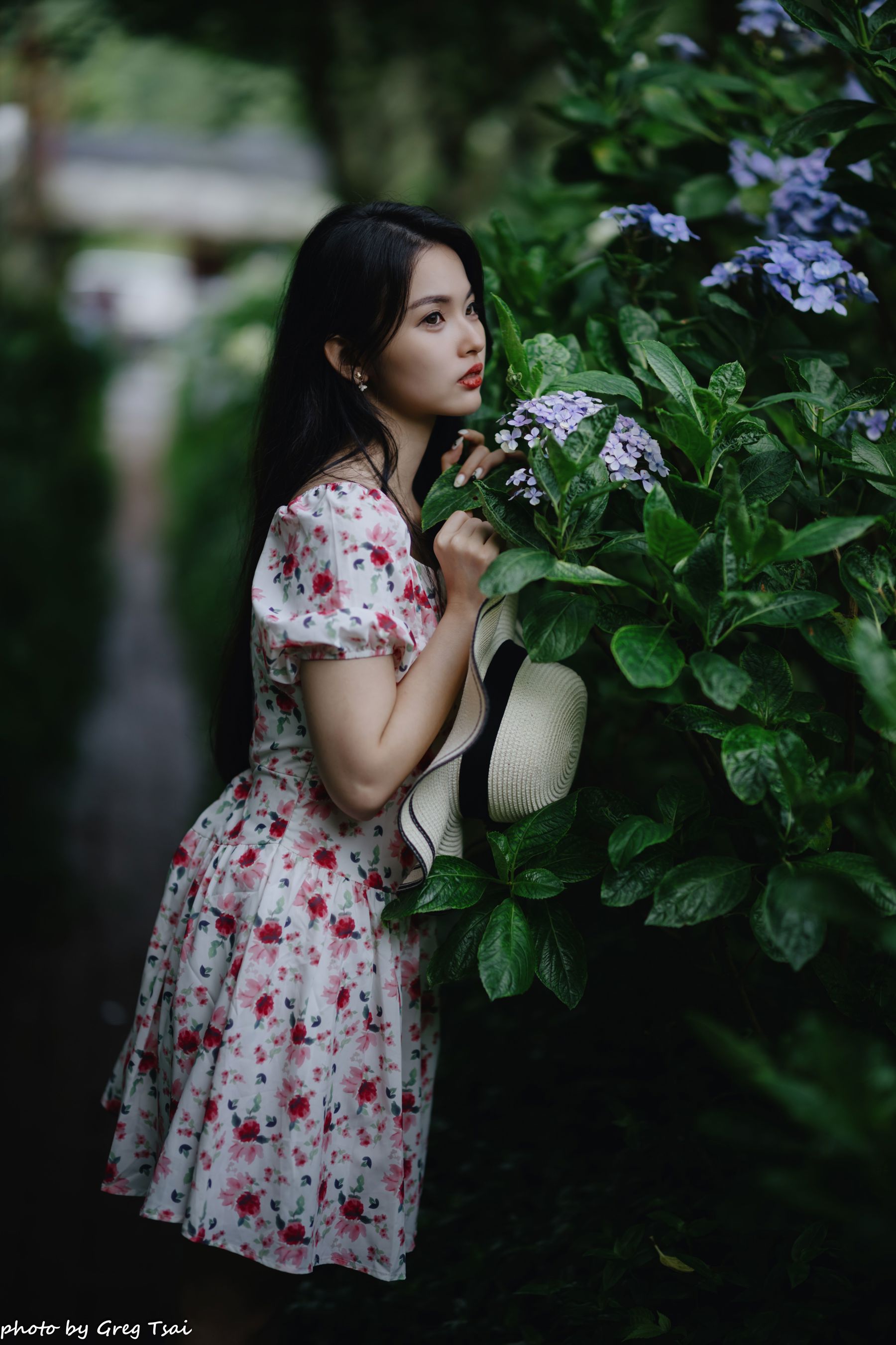 米浆 - 绣球花/(126P)