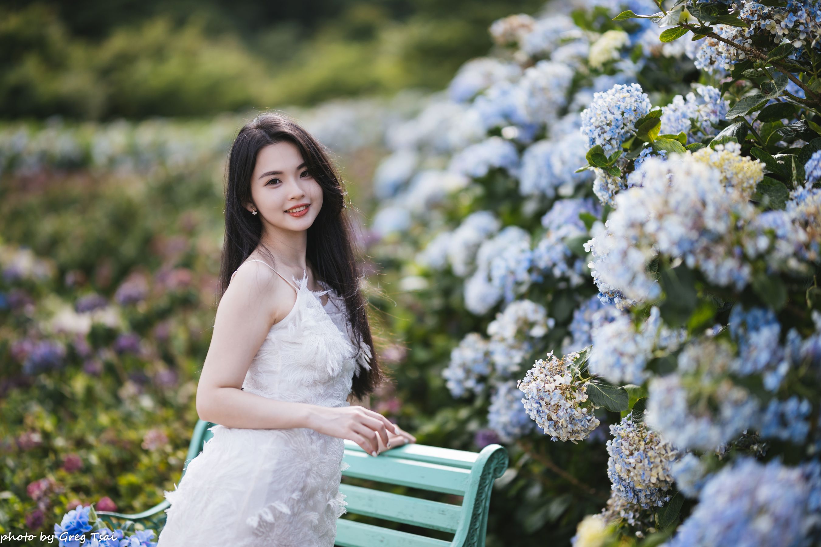 米浆 - 绣球花/(126P)